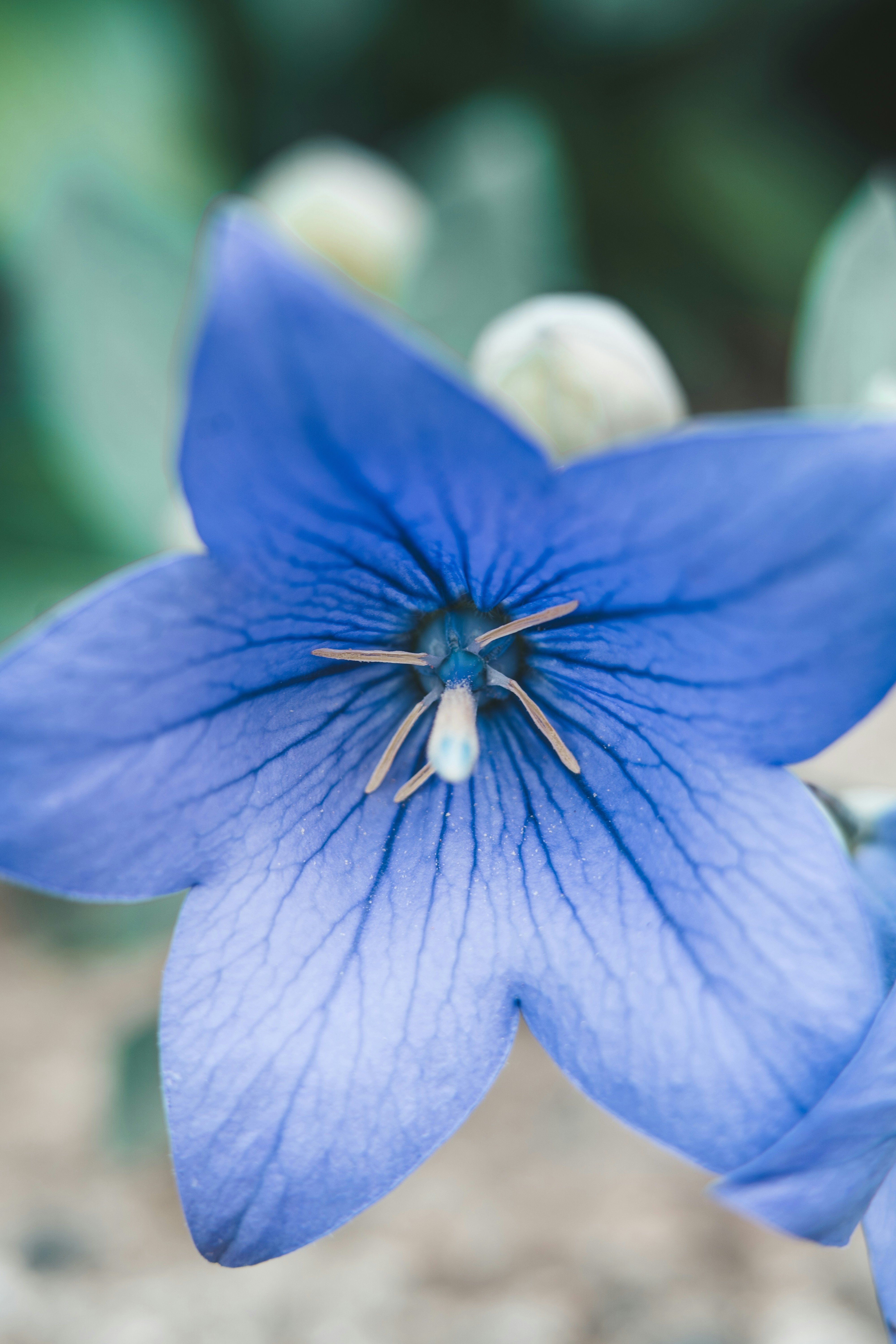 Photo by anamnesis33