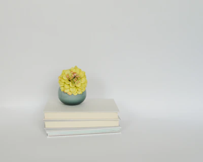 Stack of cleanly designed infoproduct covers next to a small green plant on a white surface.