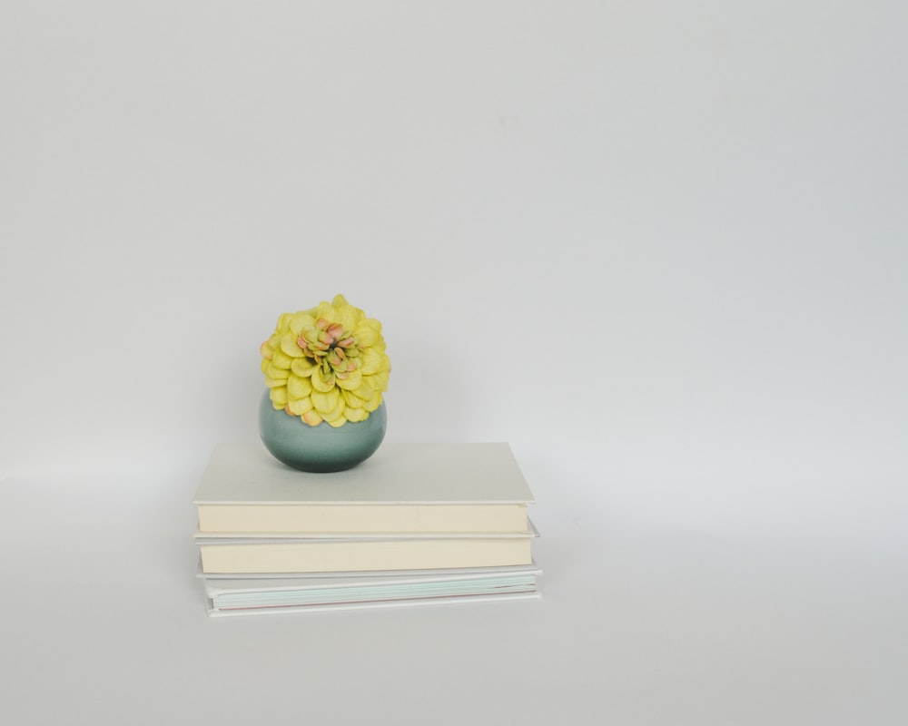 a vase with a yellow flower on top of a stack of books