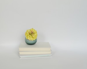 Minimalist Planter