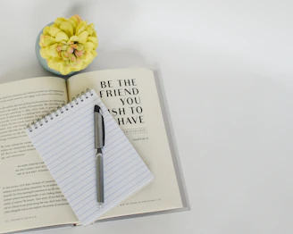 Character Animation Voiceover services