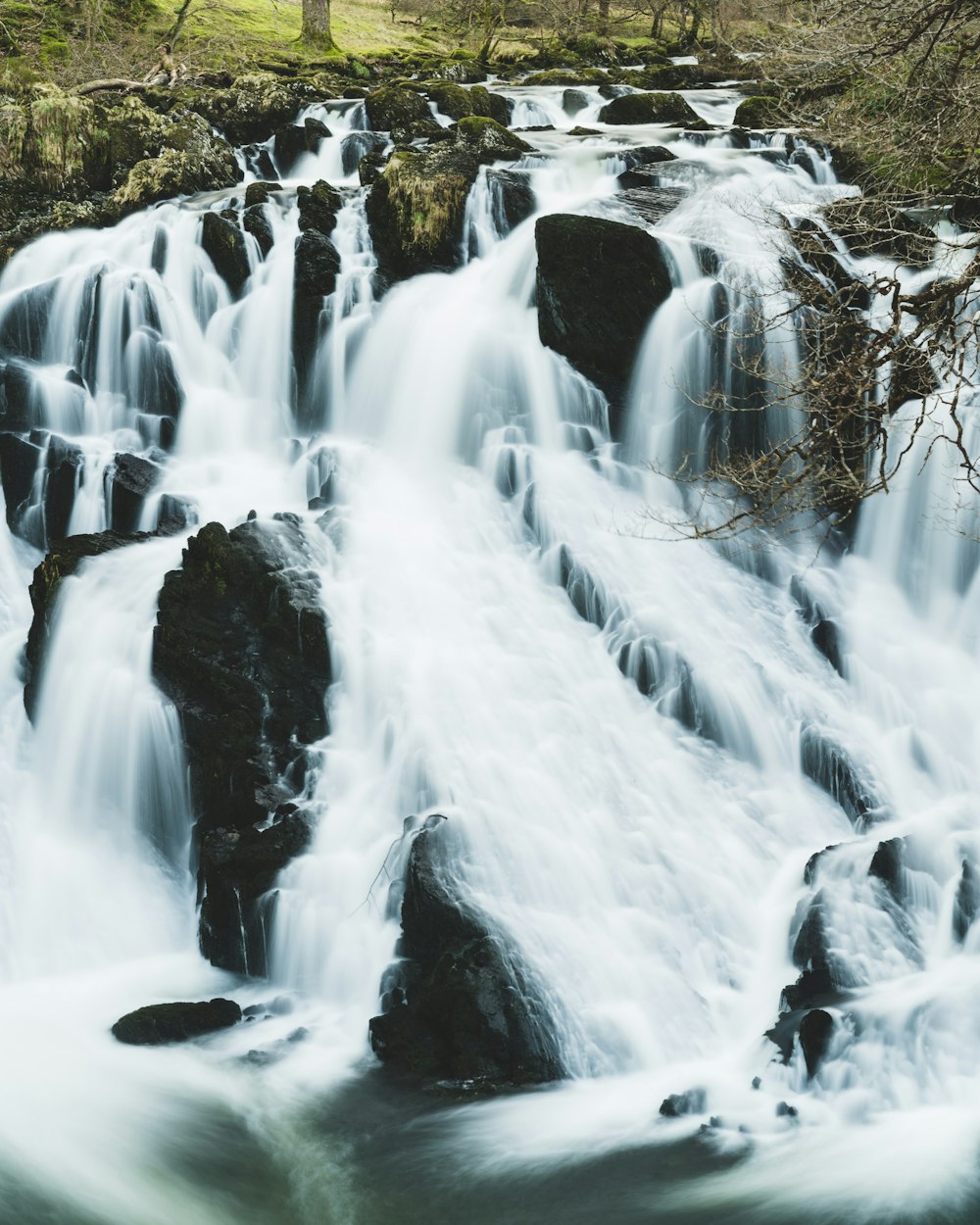 uma pequena cachoeira no meio de uma floresta