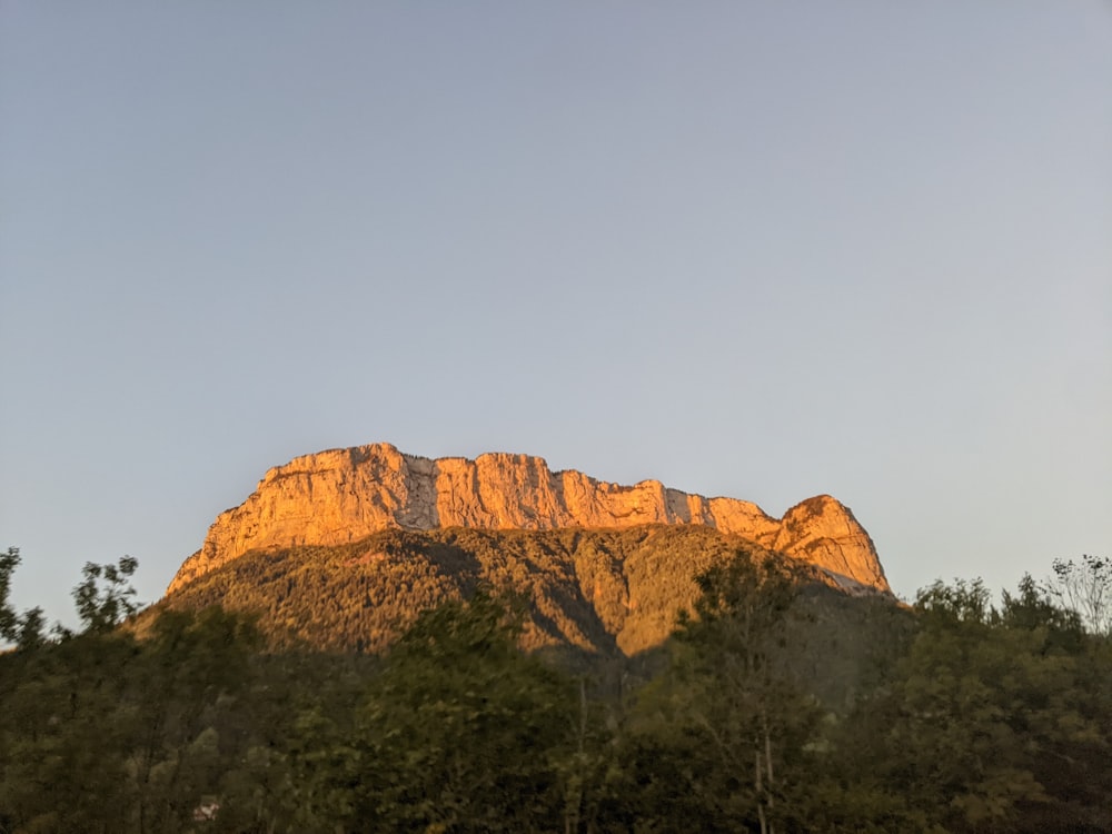 a large mountain with trees in front of it