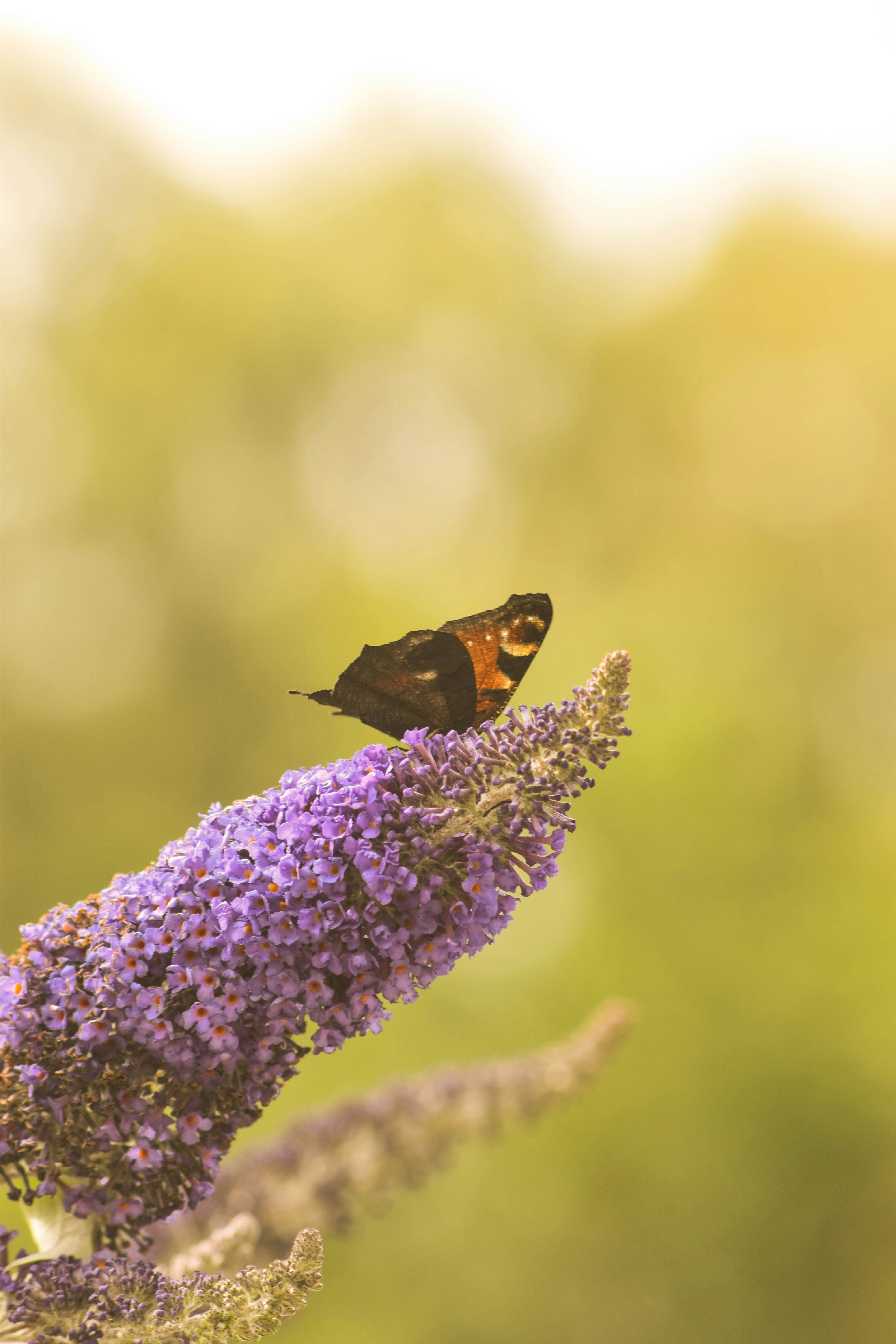 Photo by camerasimagination