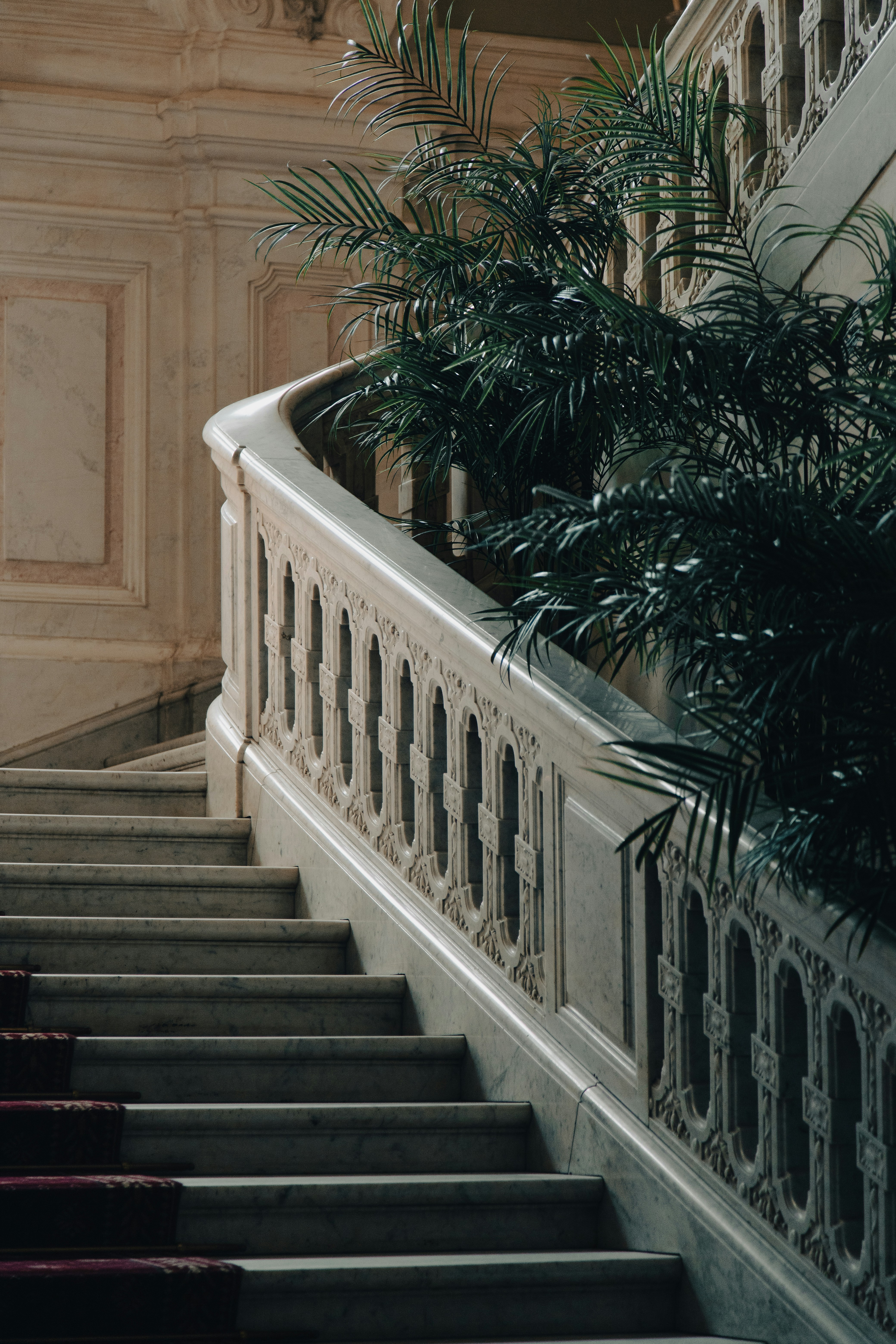 Photo by alexandristom