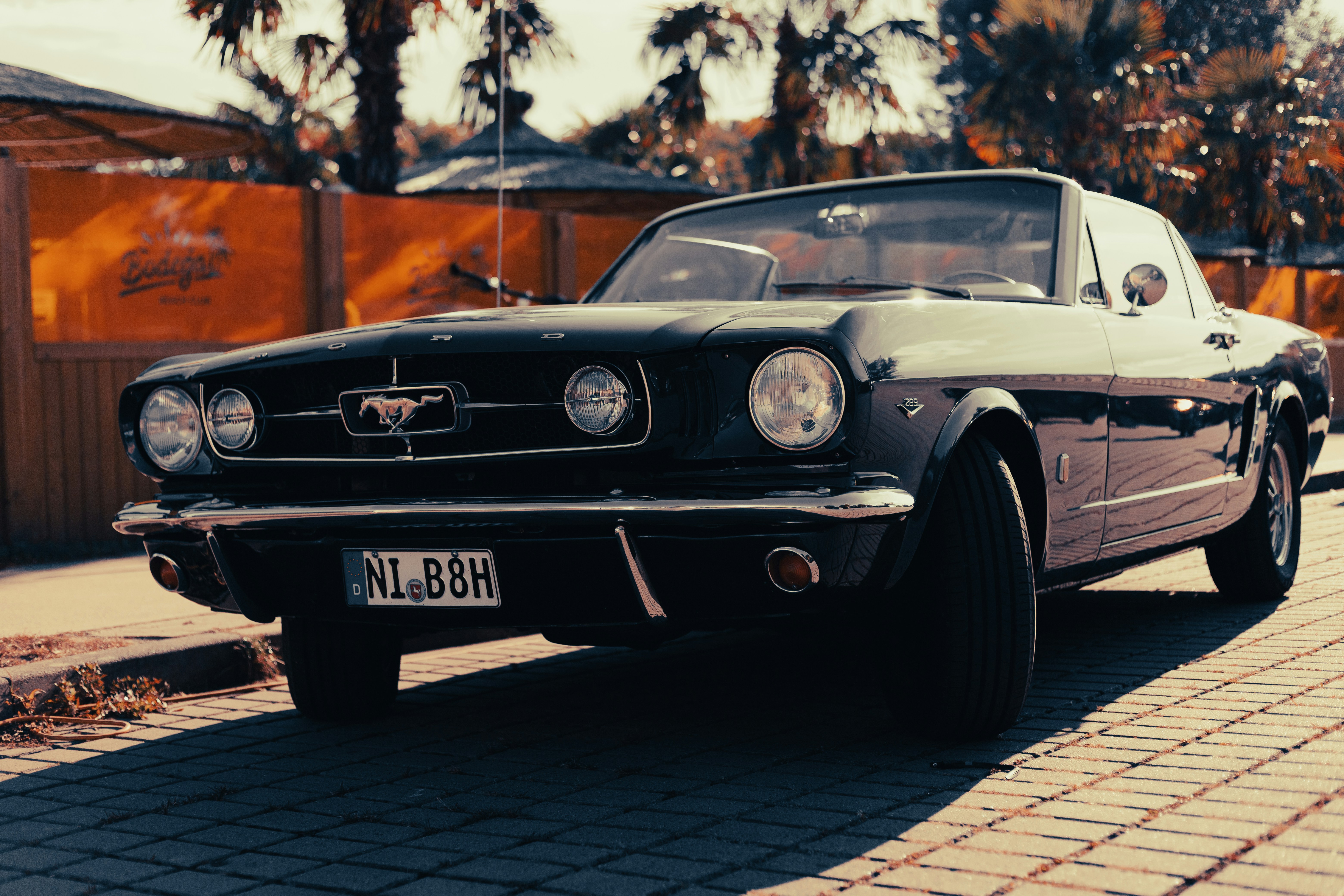 Photo by alexandristom