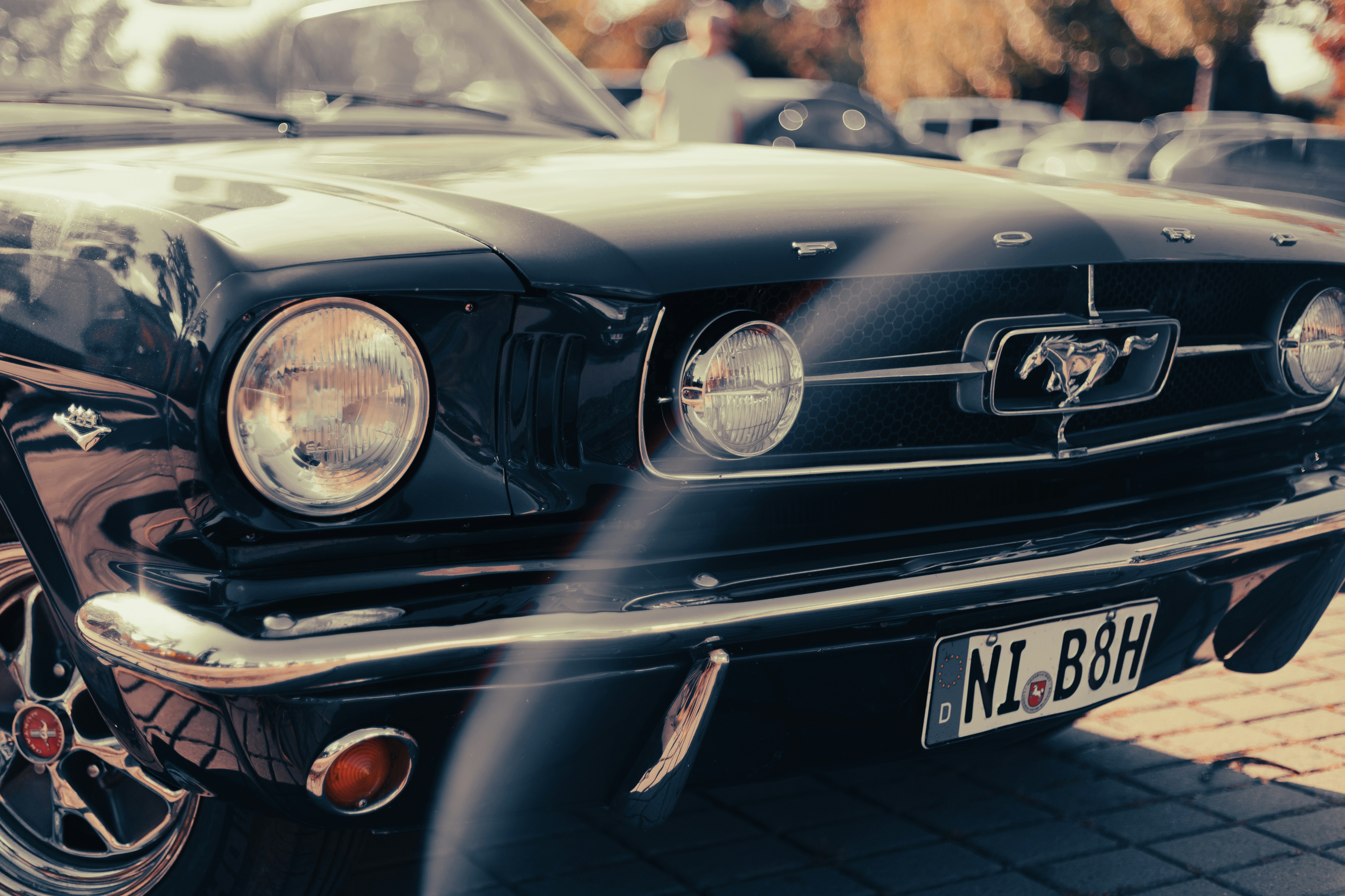 Photo by alexandristom