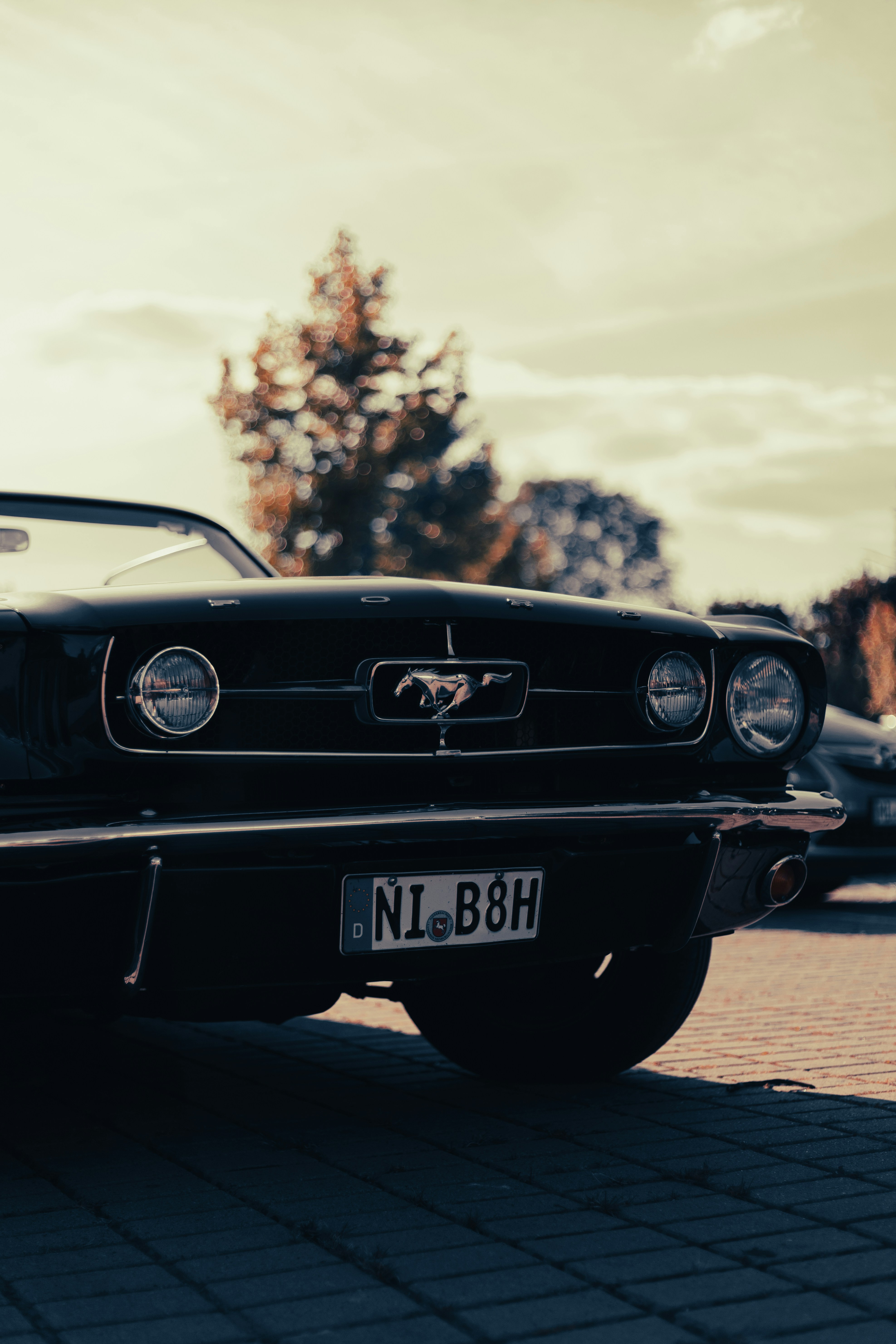 Photo by alexandristom