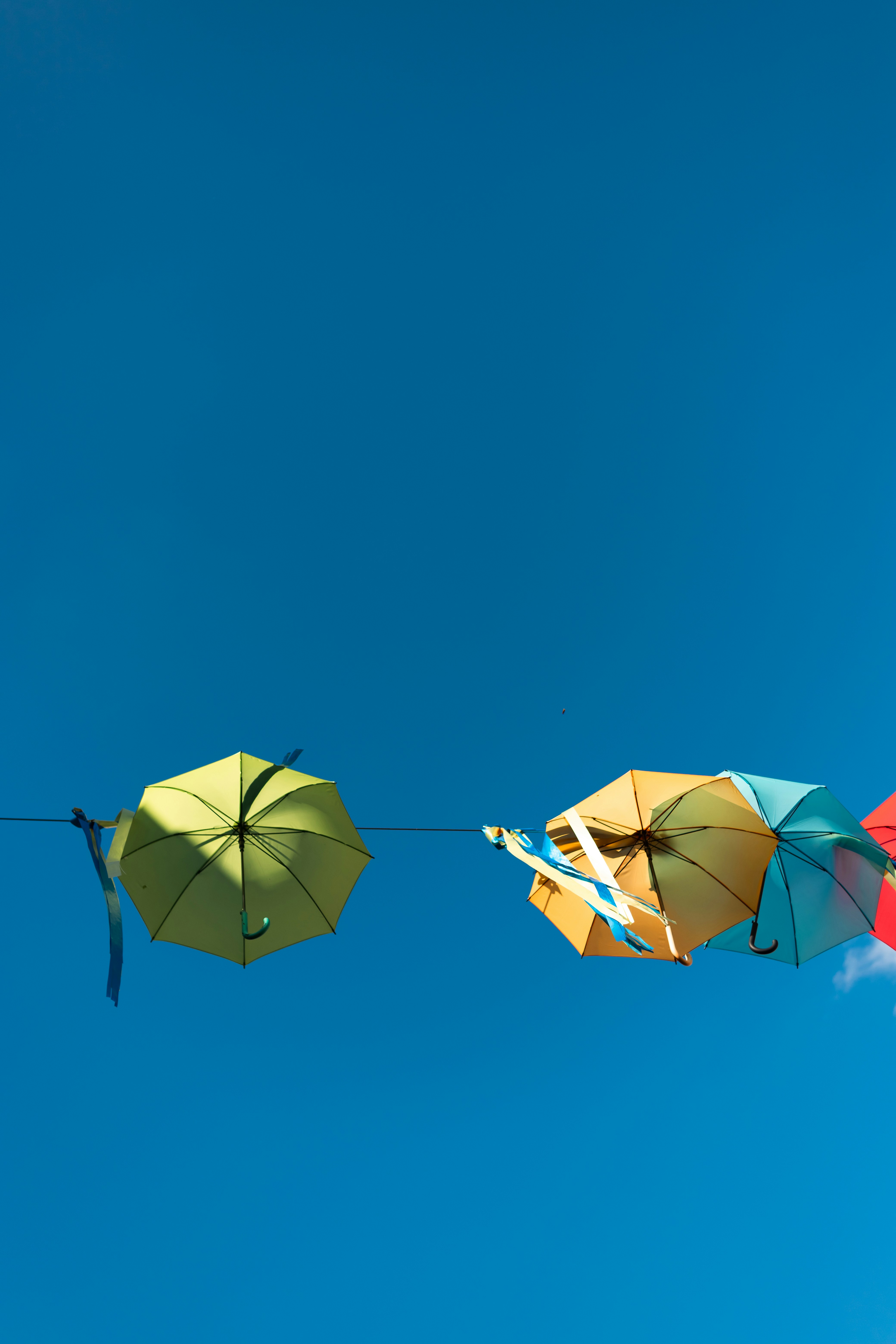 Photo by alexandristom