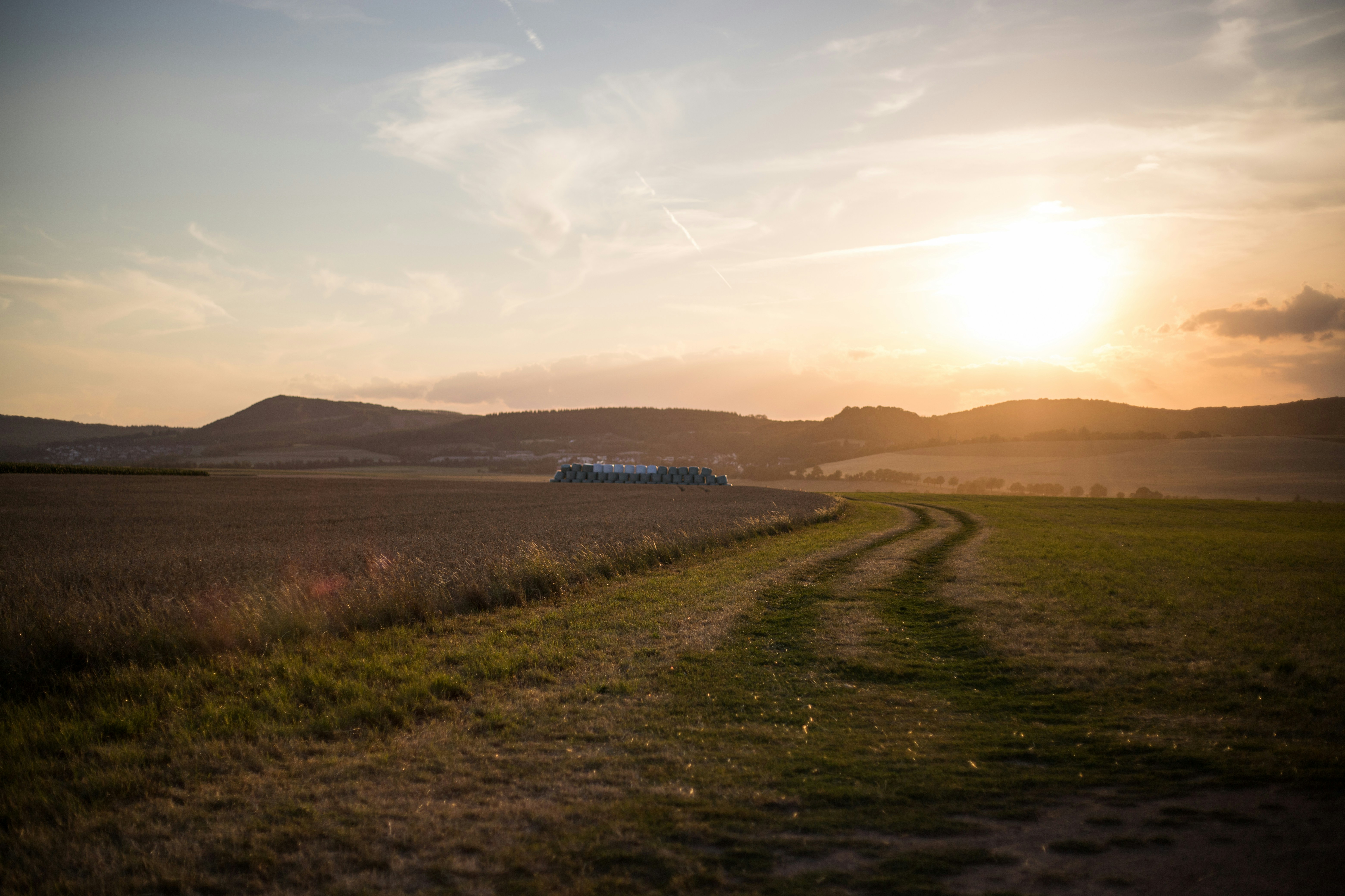 Photo by alexandristom