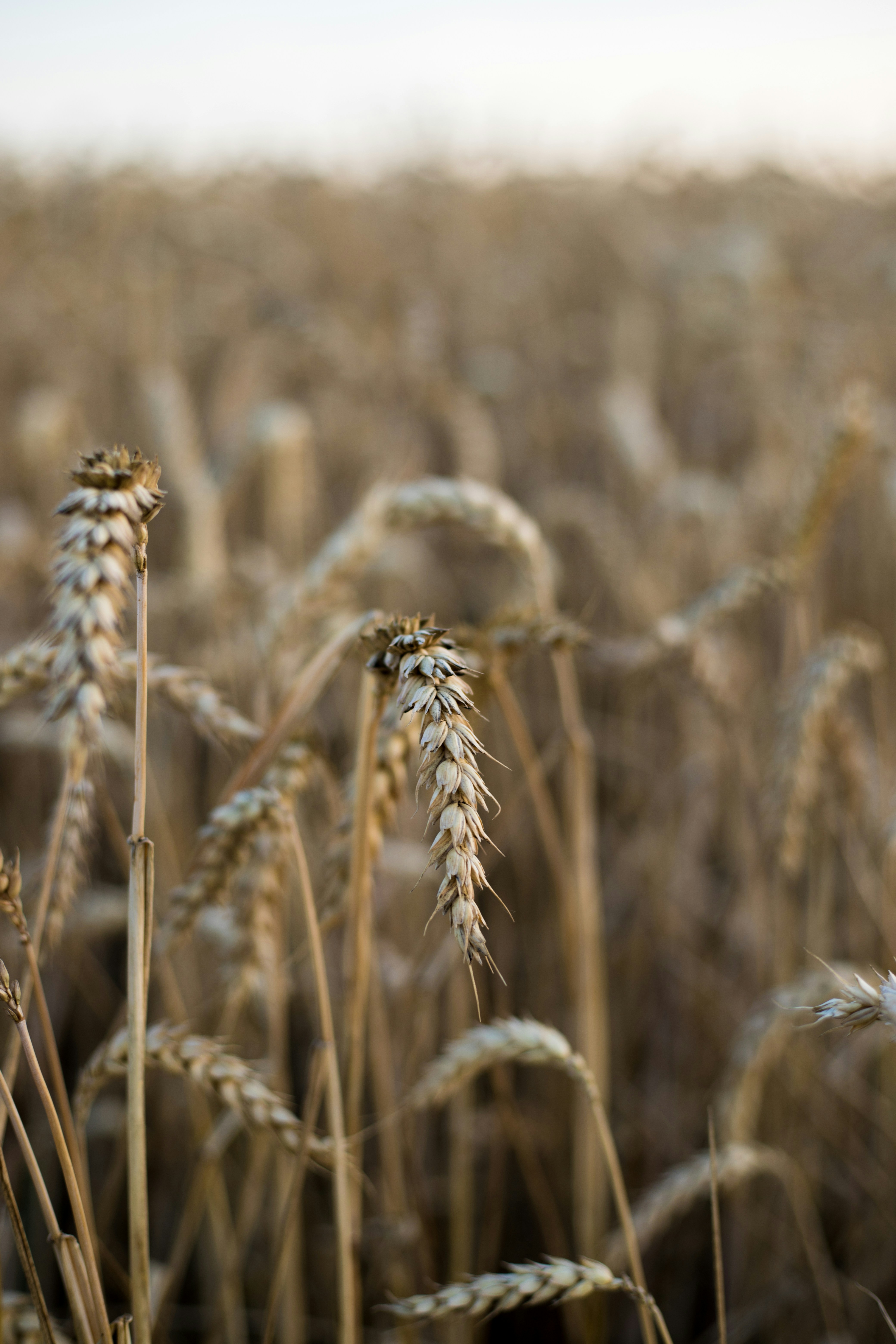 Photo by alexandristom