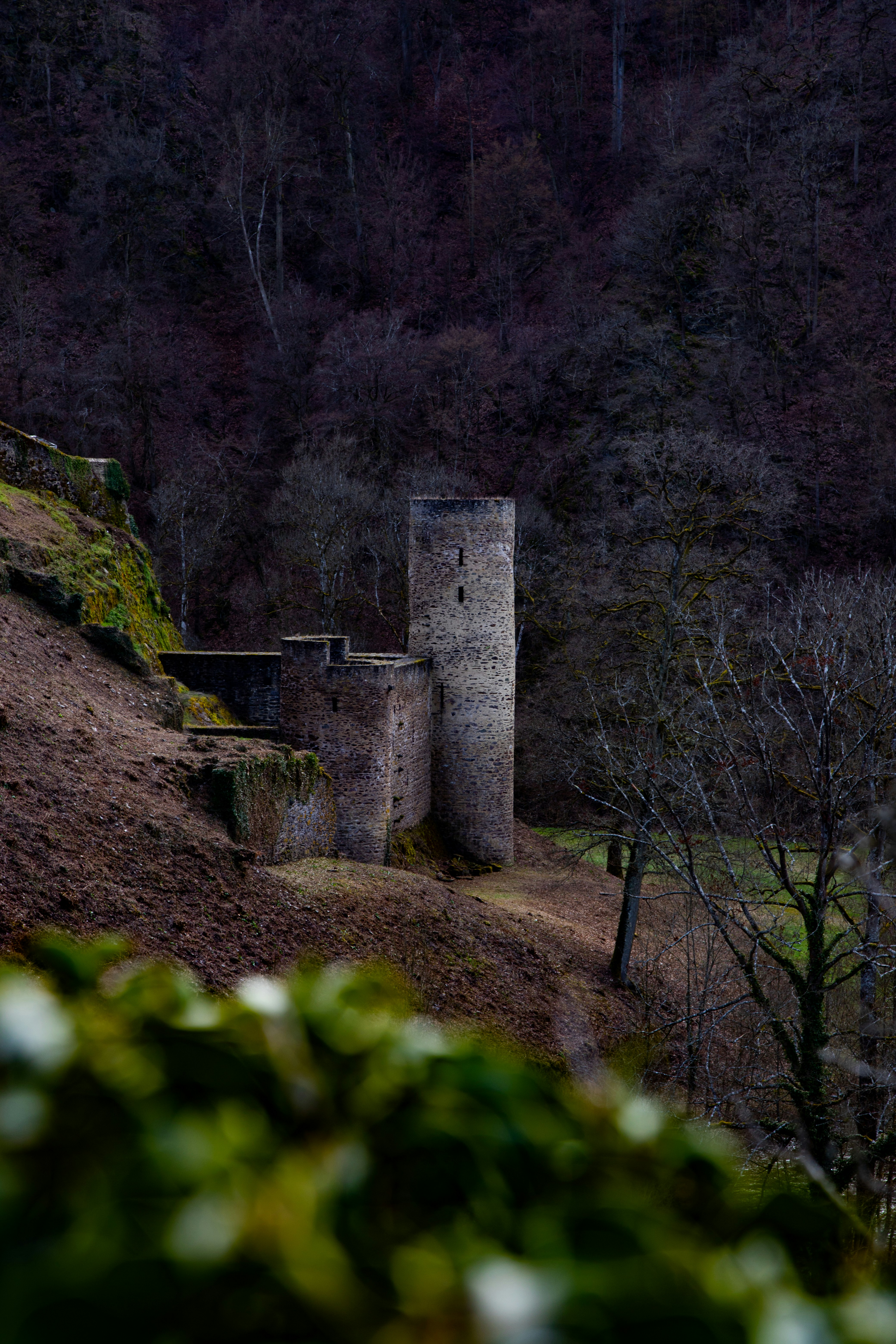 Photo by alexandristom