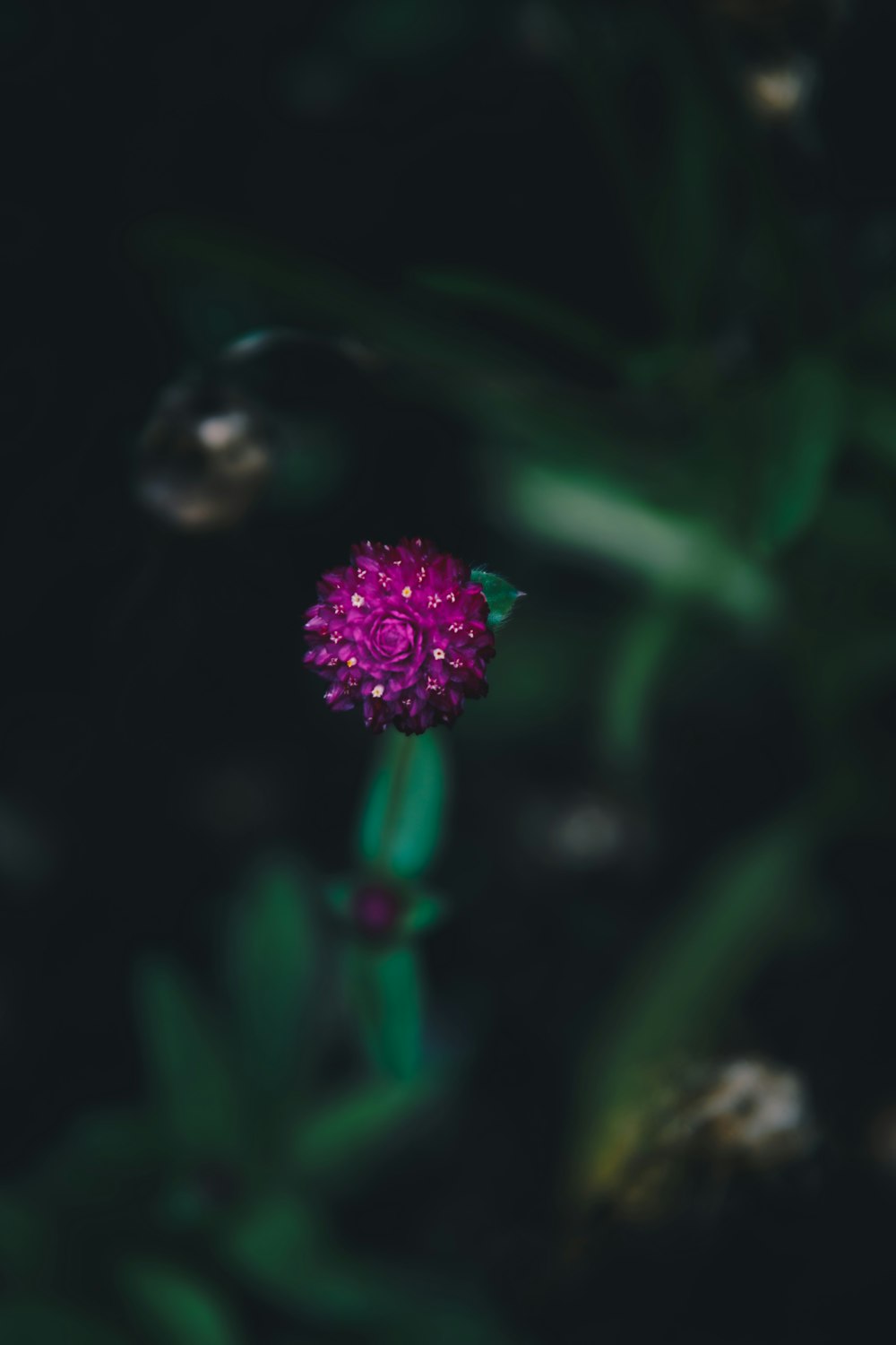 a purple flower sitting on top of a green table