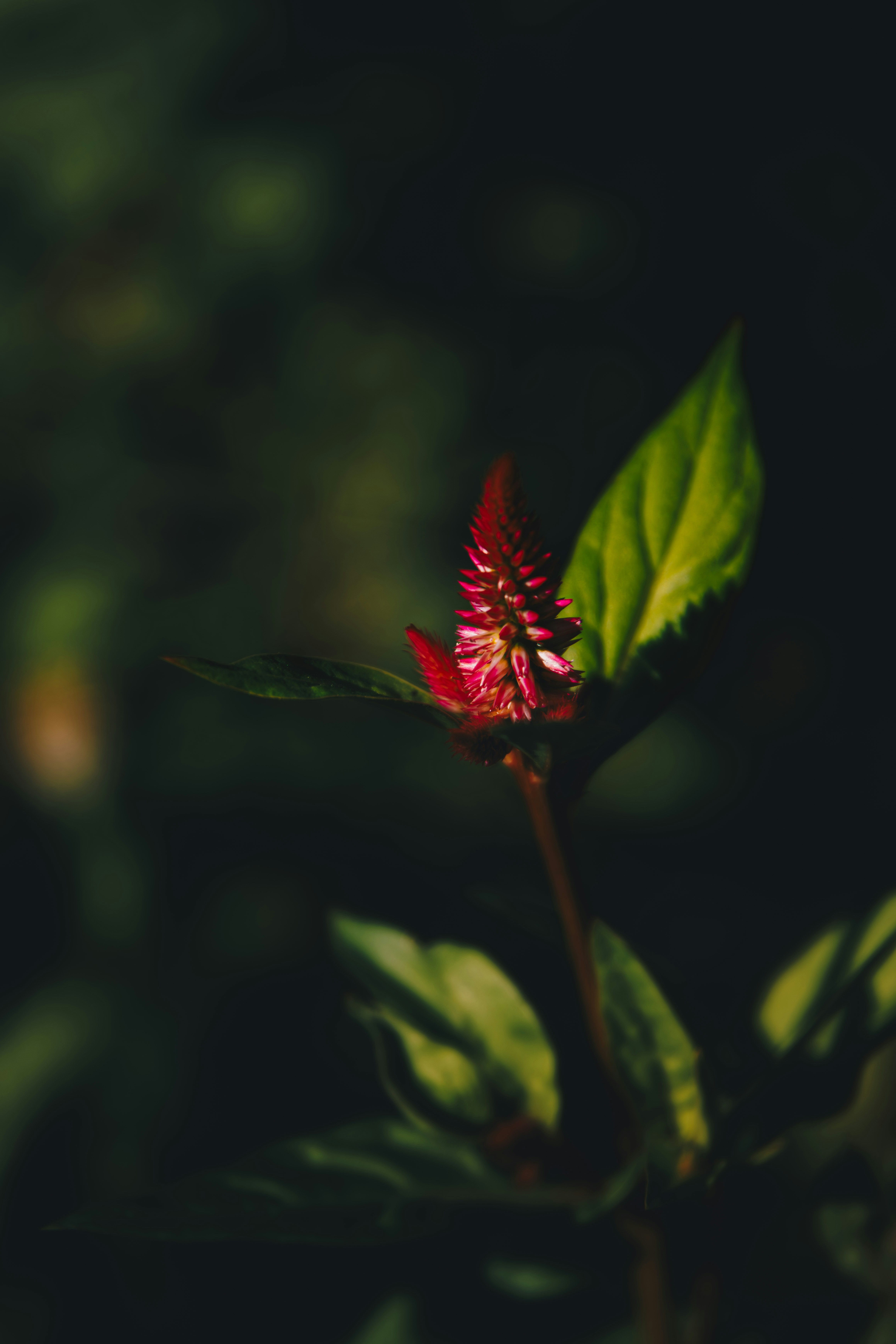 Photo by storywright