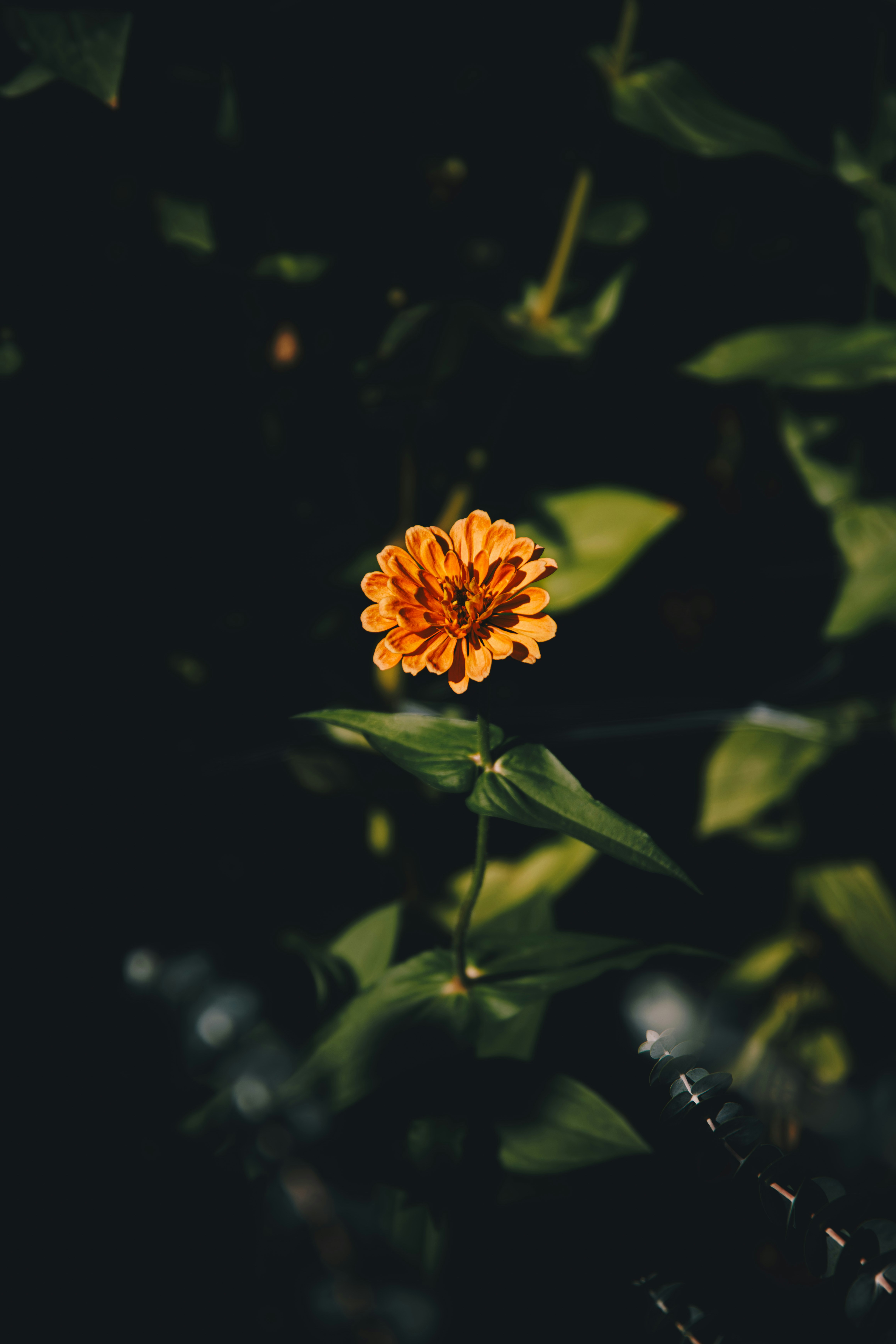 Photo by storywright