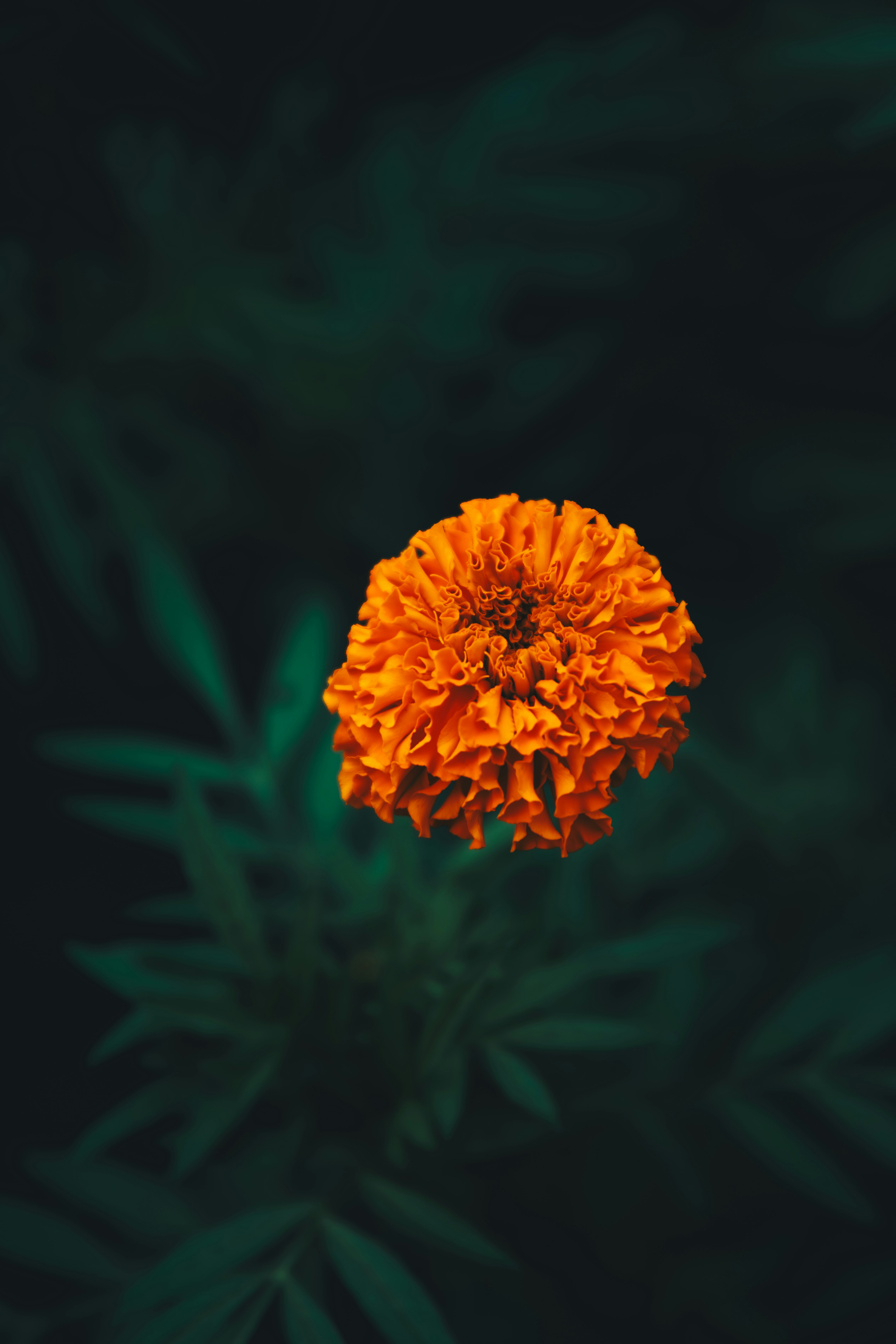 Photo by storywright