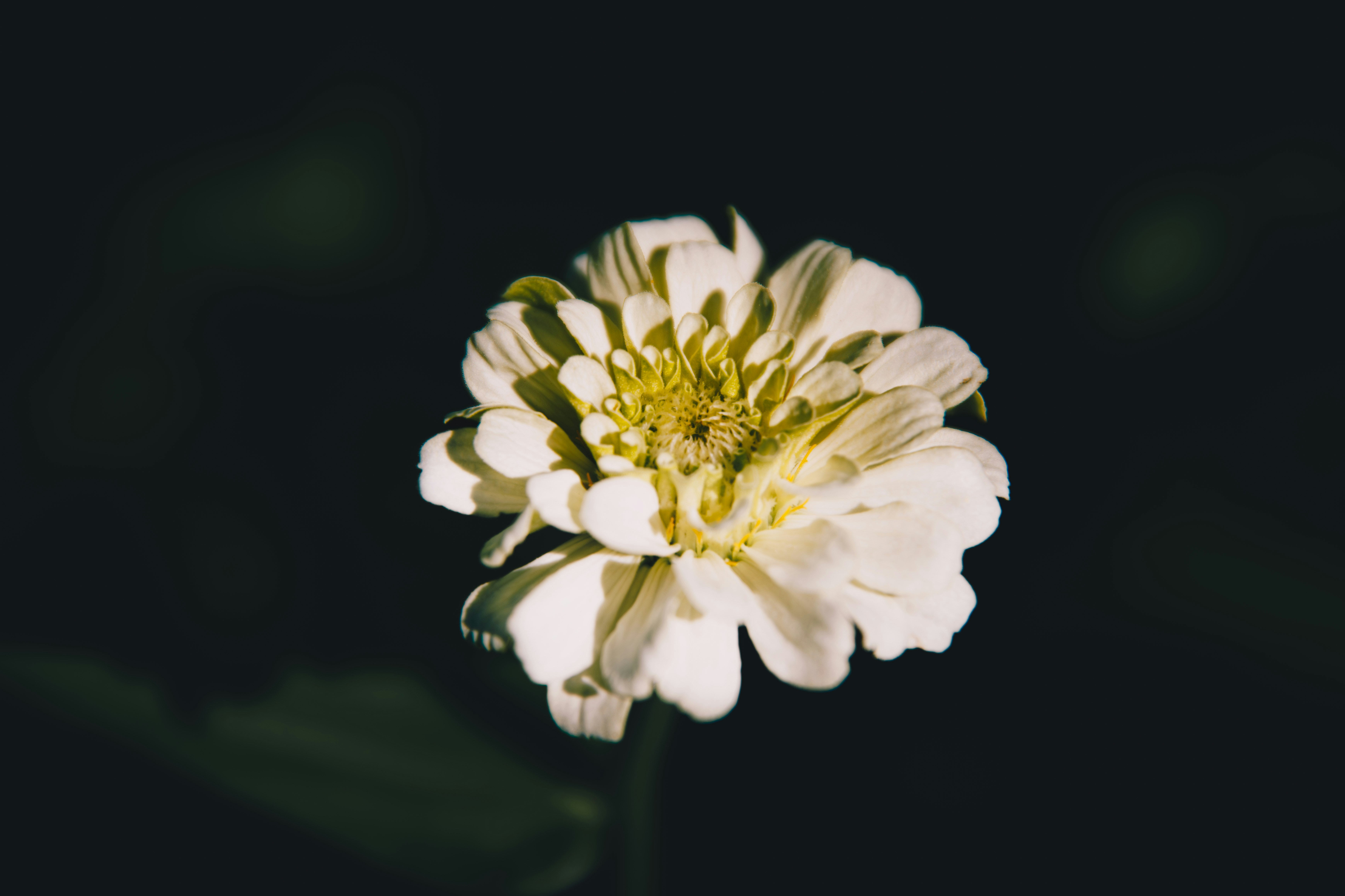 Photo by storywright