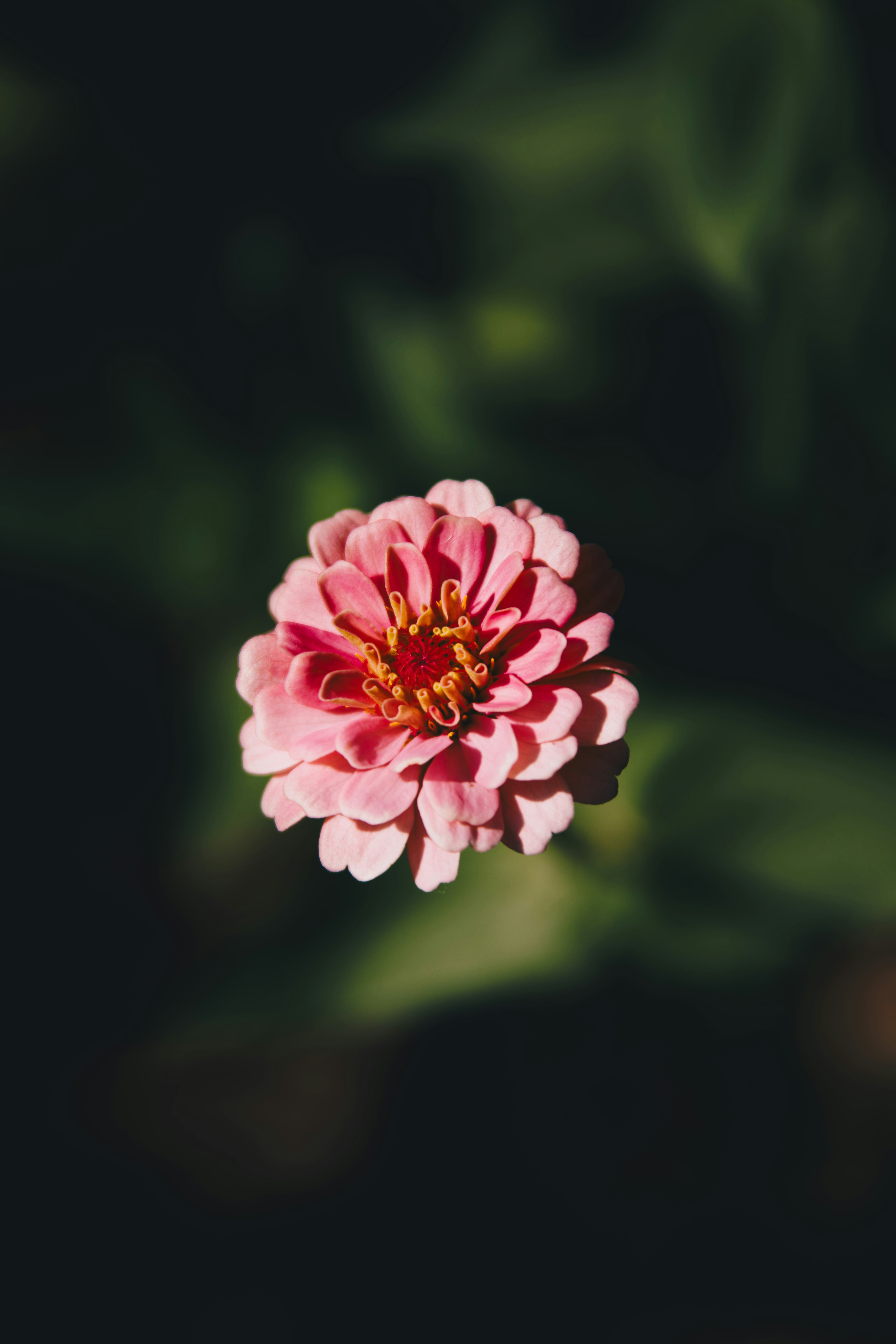 Photo by storywright