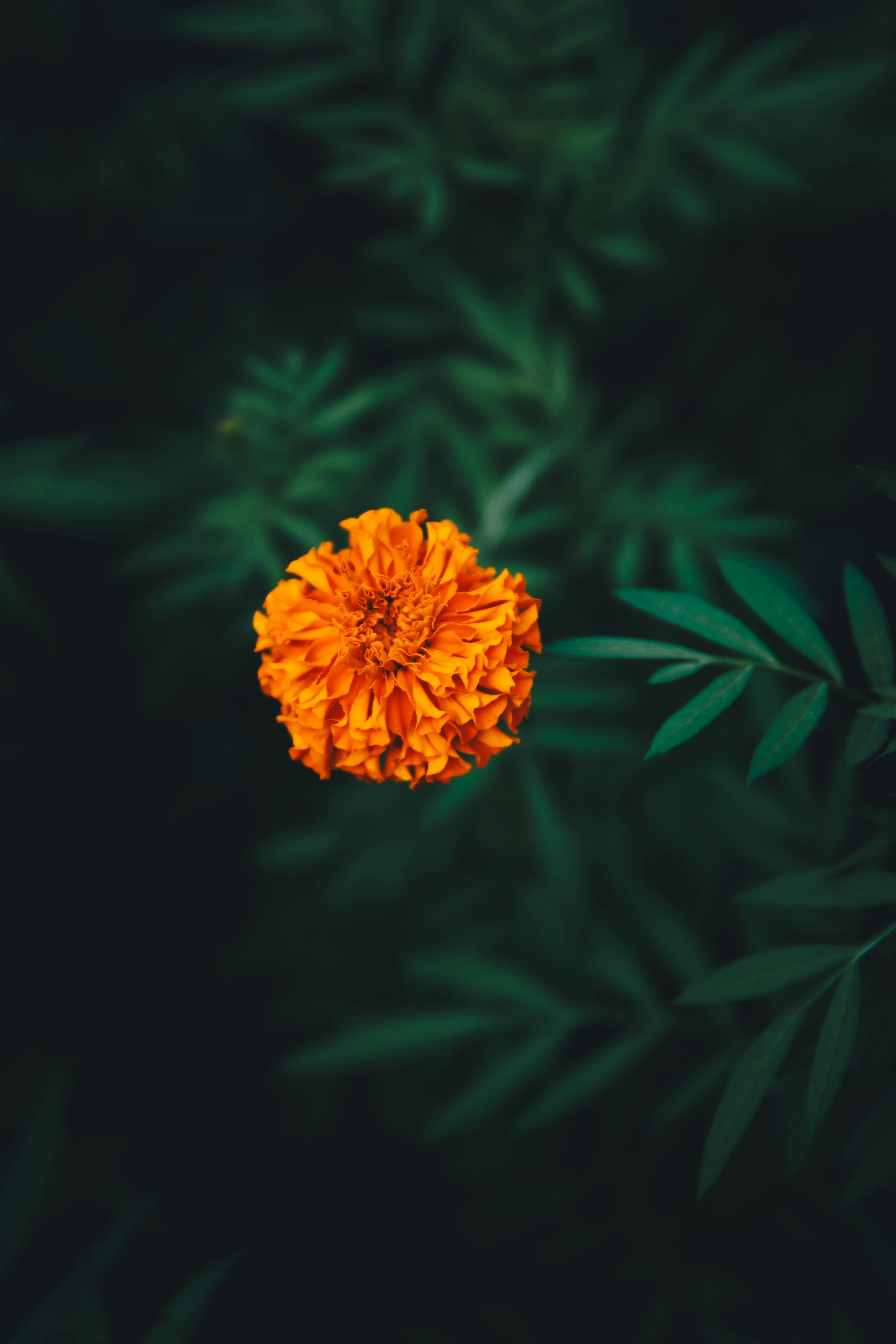 Photo by storywright