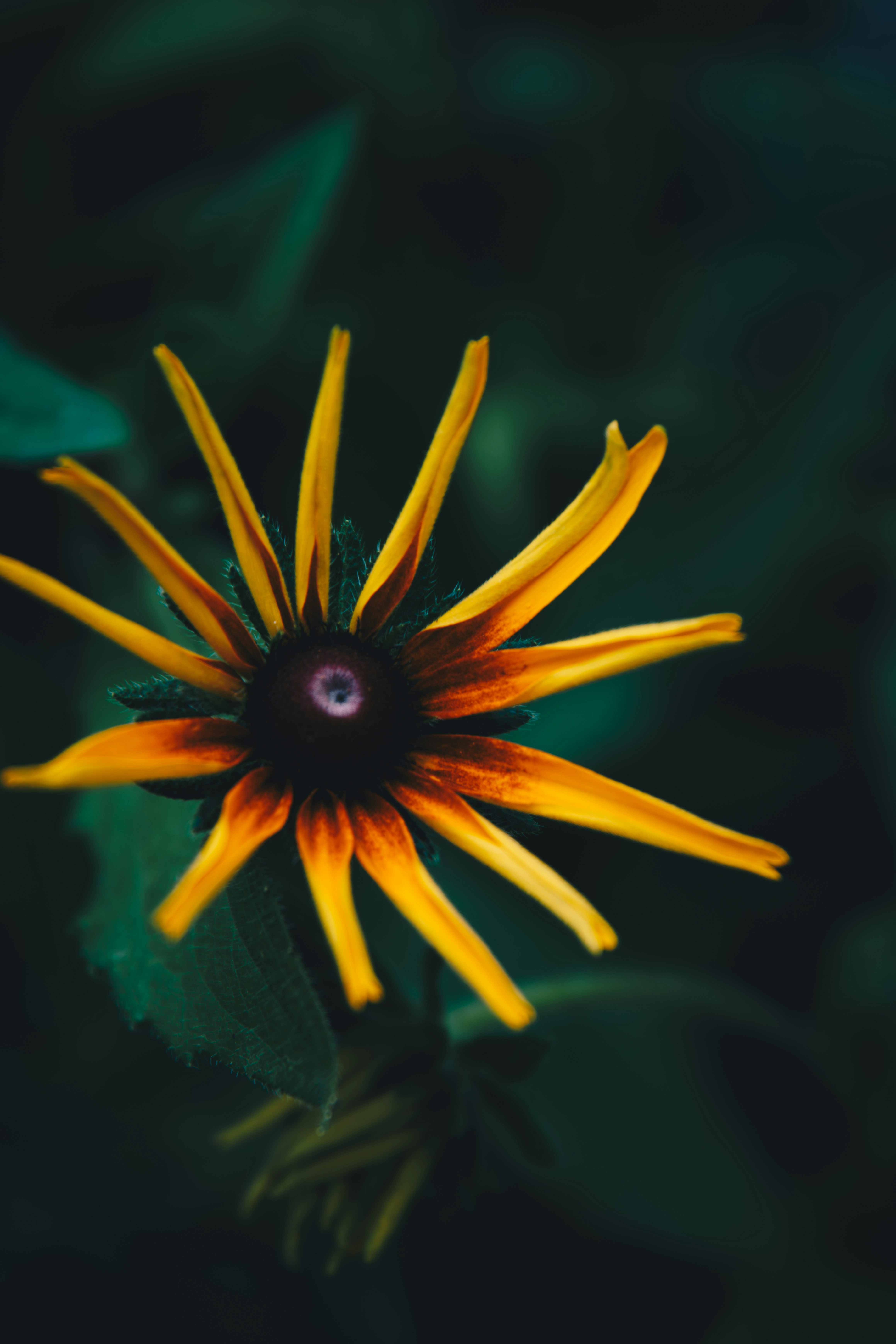 Photo by storywright