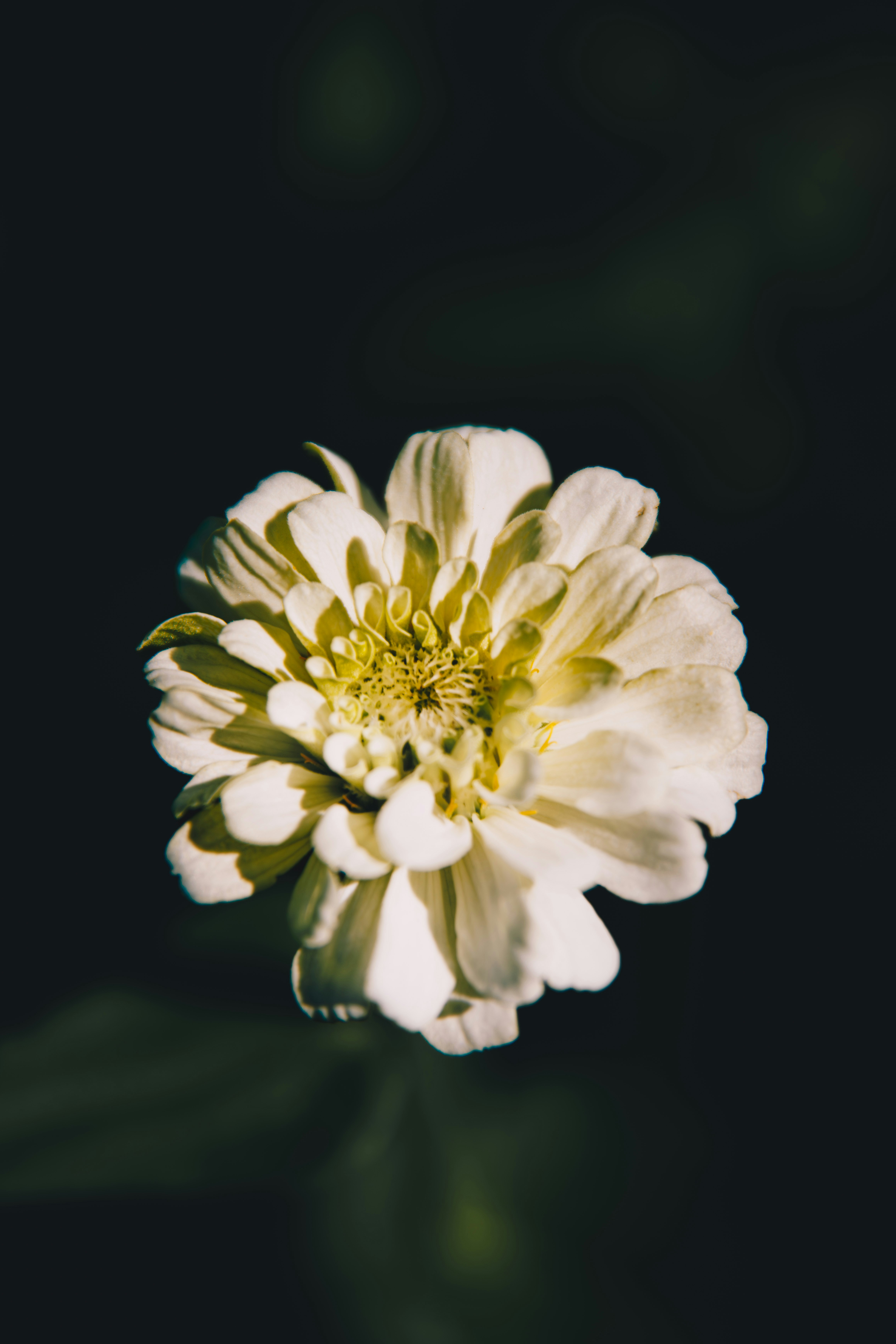 Photo by storywright