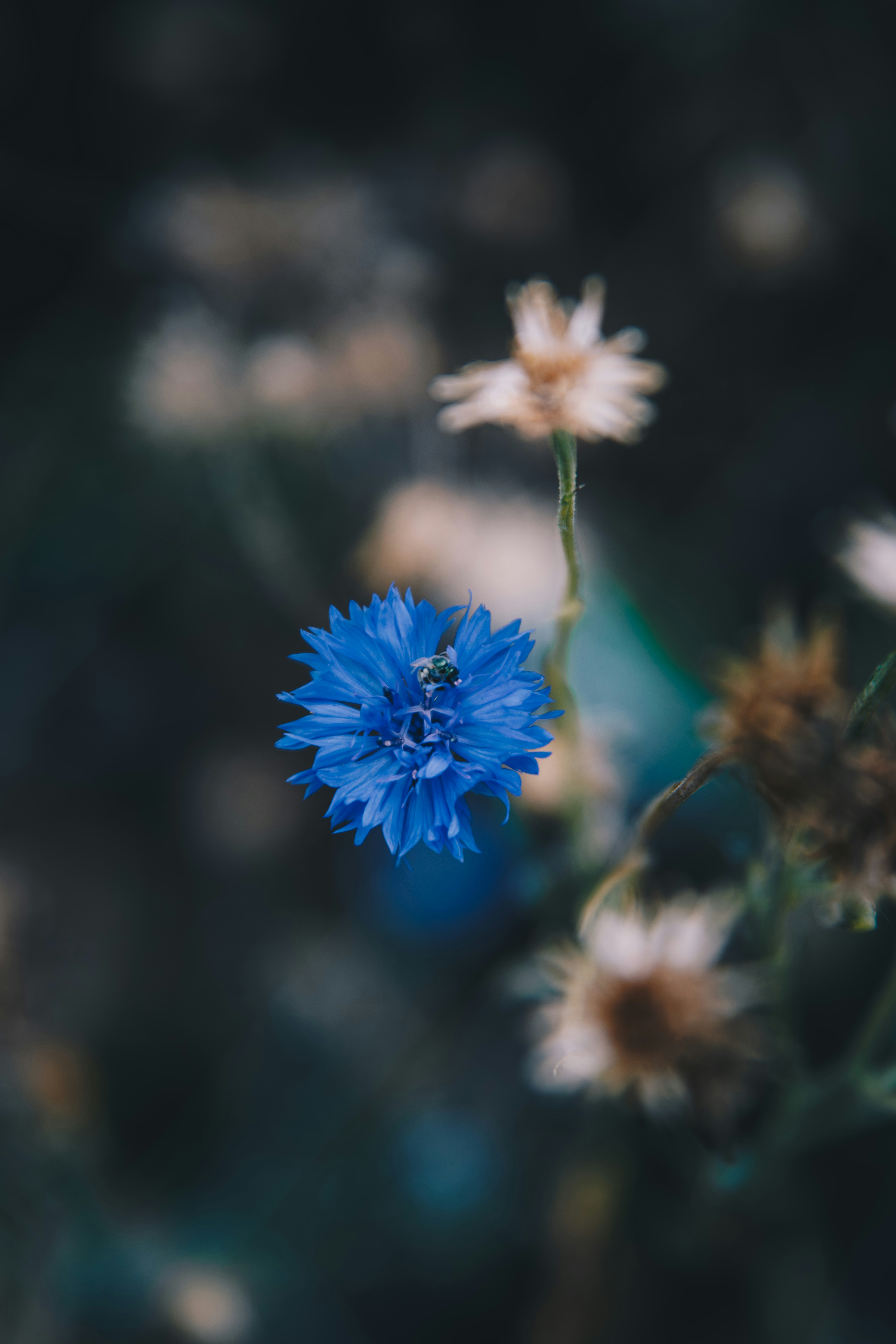 Photo by storywright