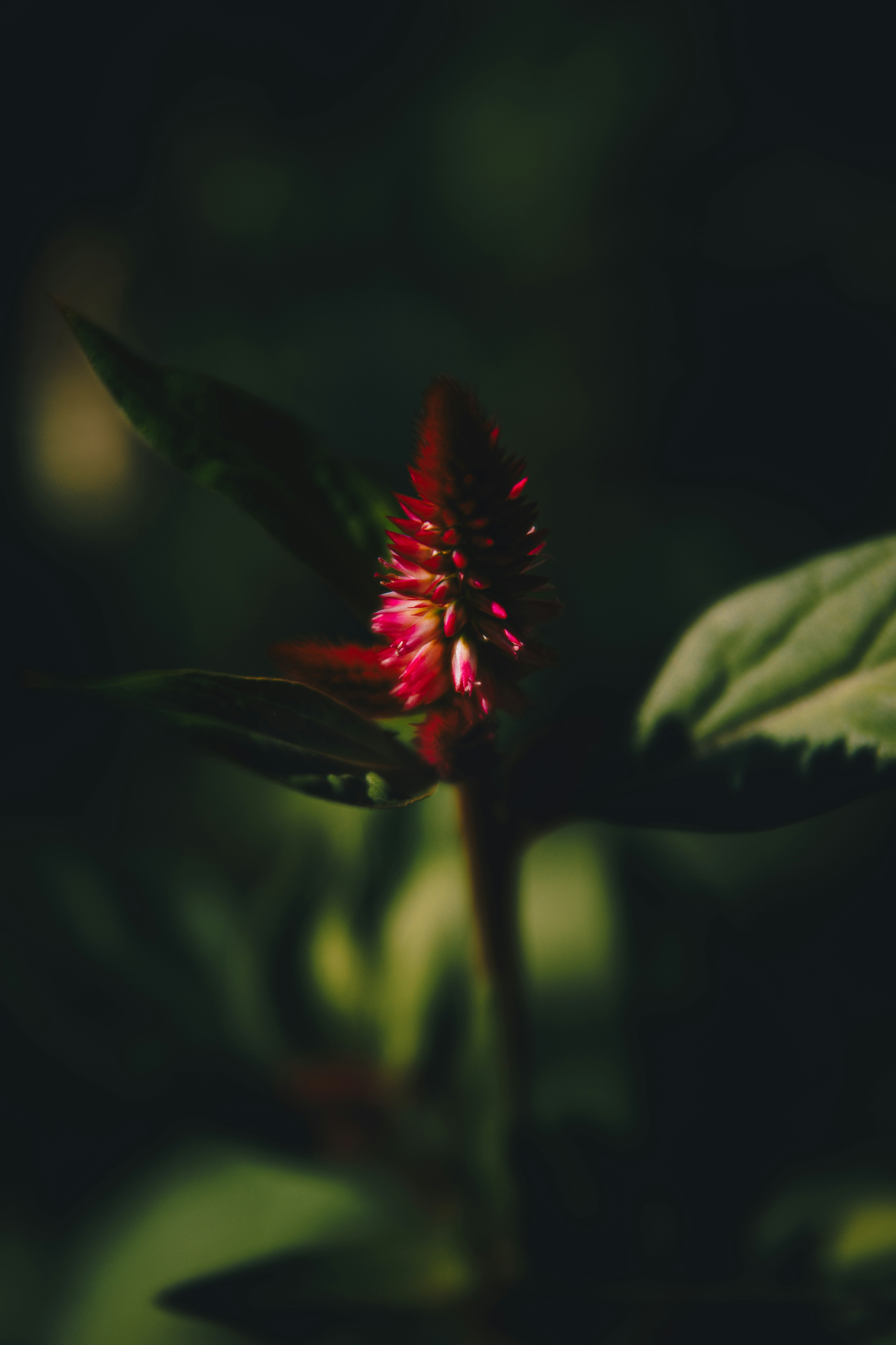 Photo by storywright