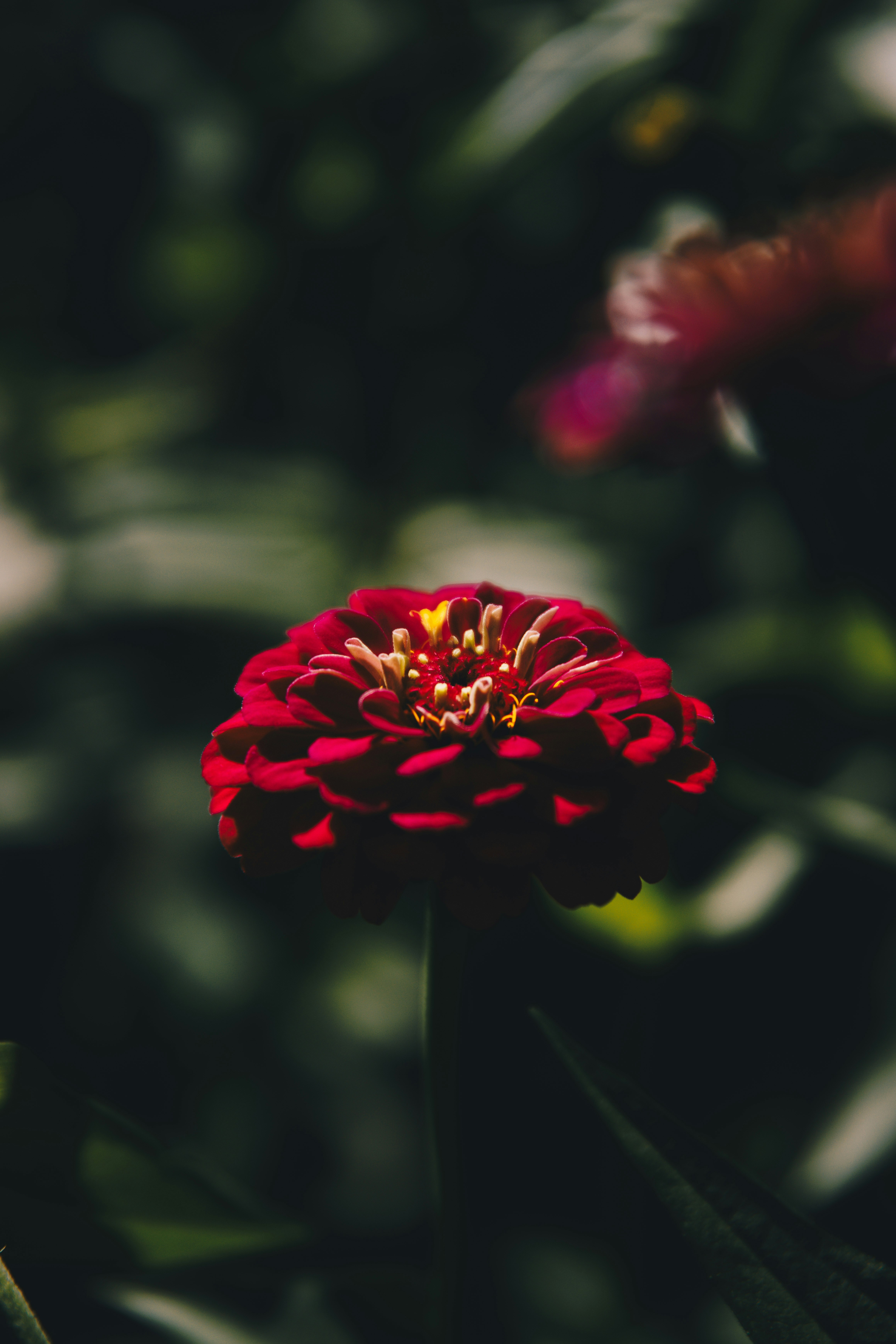 Photo by storywright