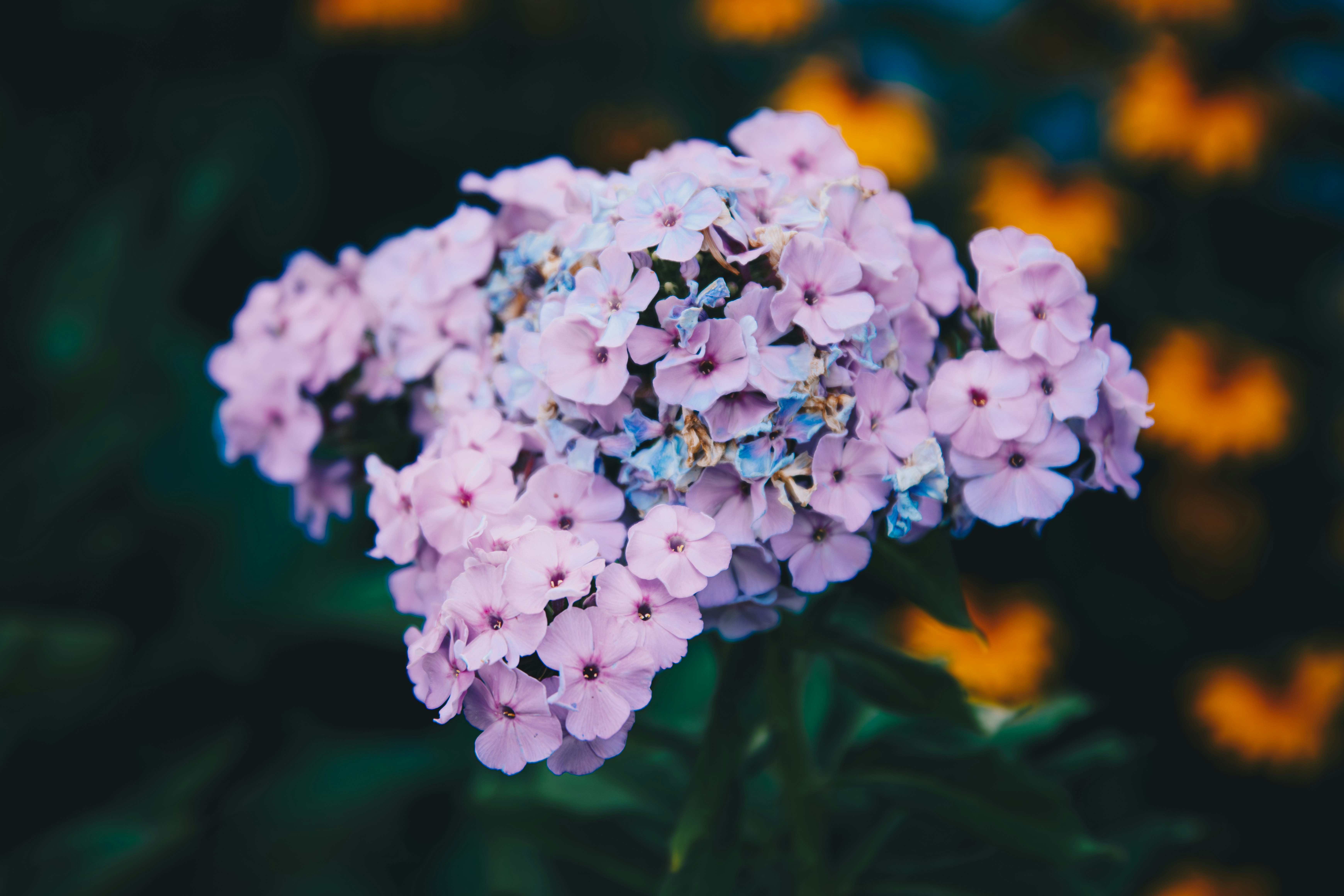 Photo by storywright