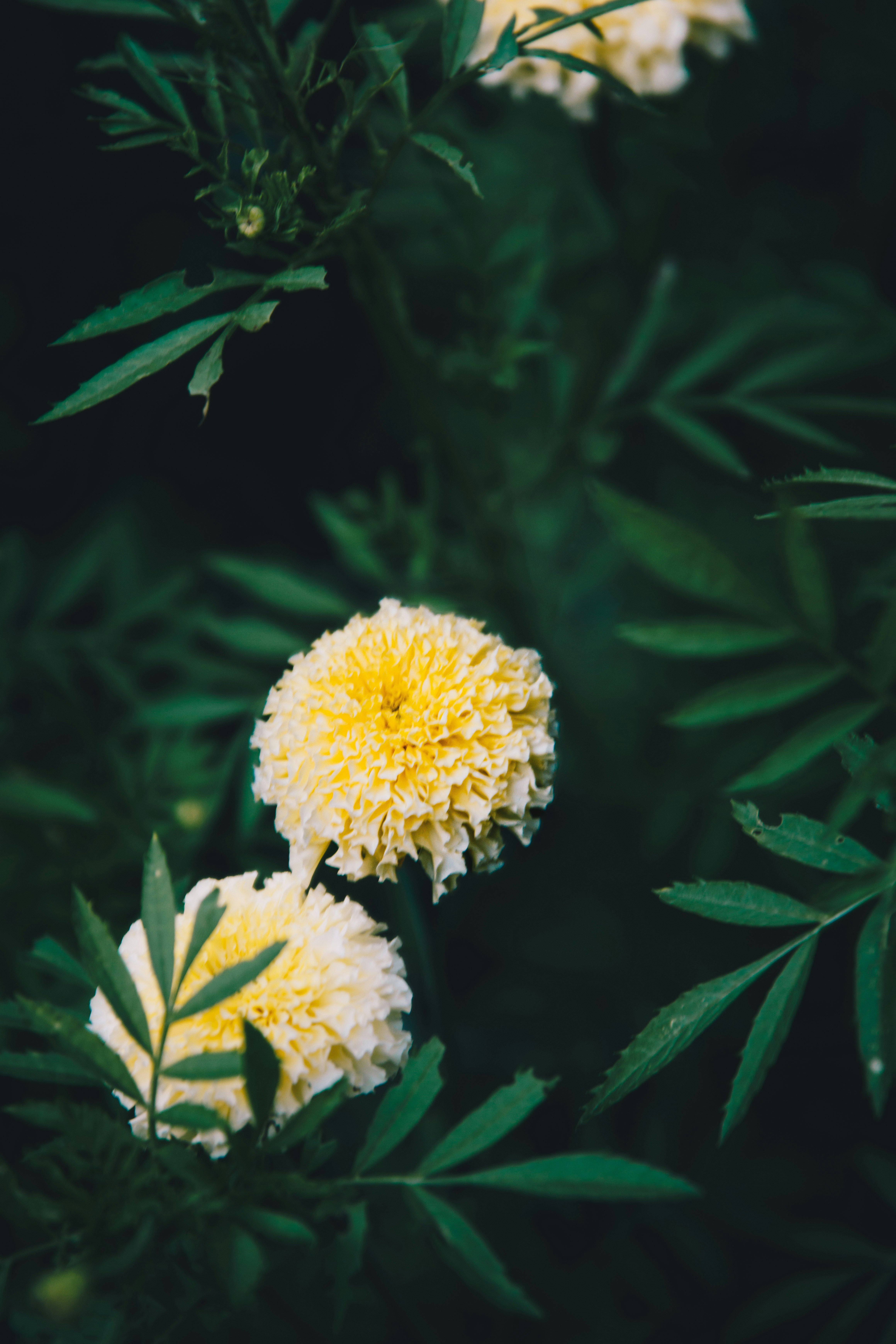 Photo by storywright