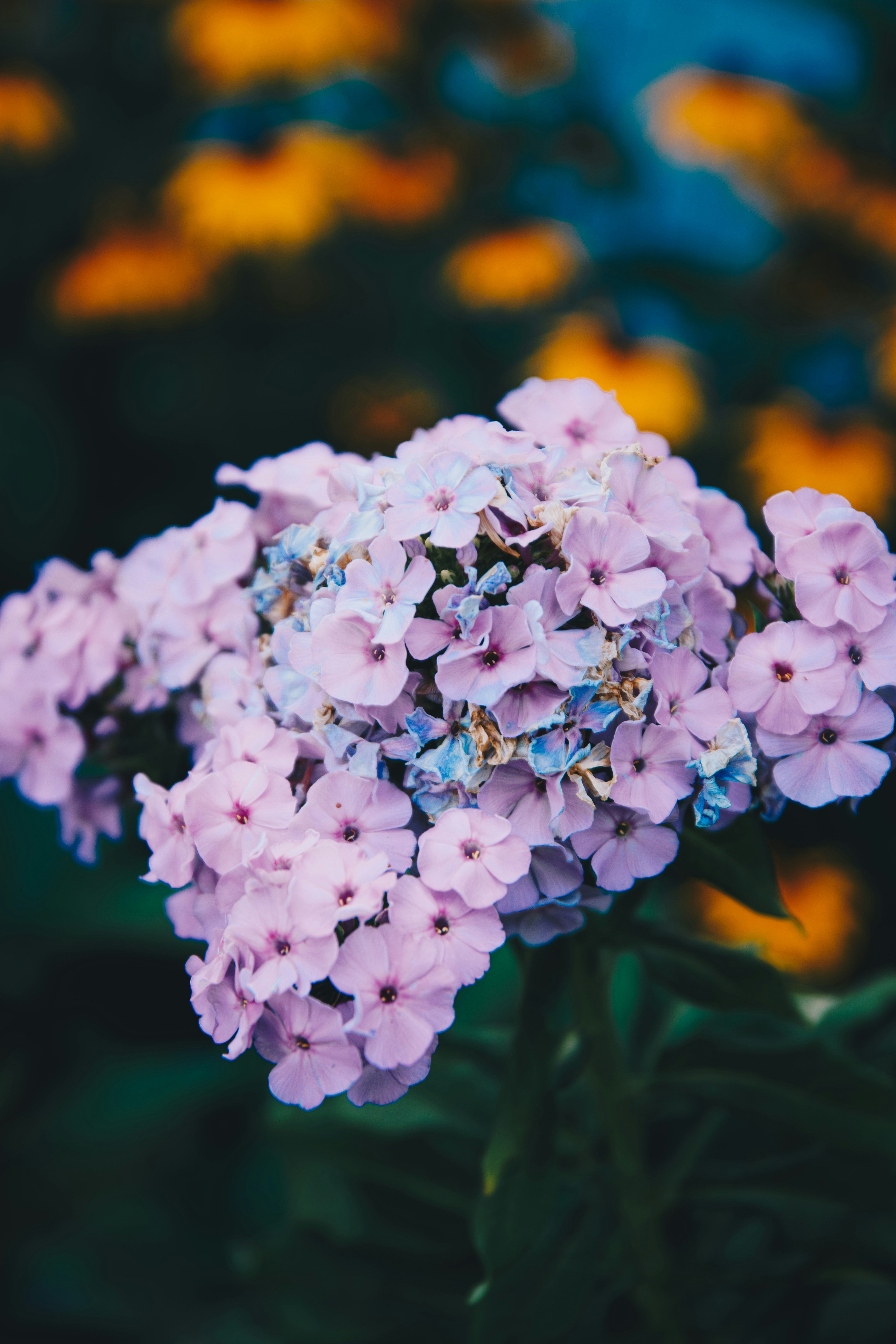 Photo by storywright