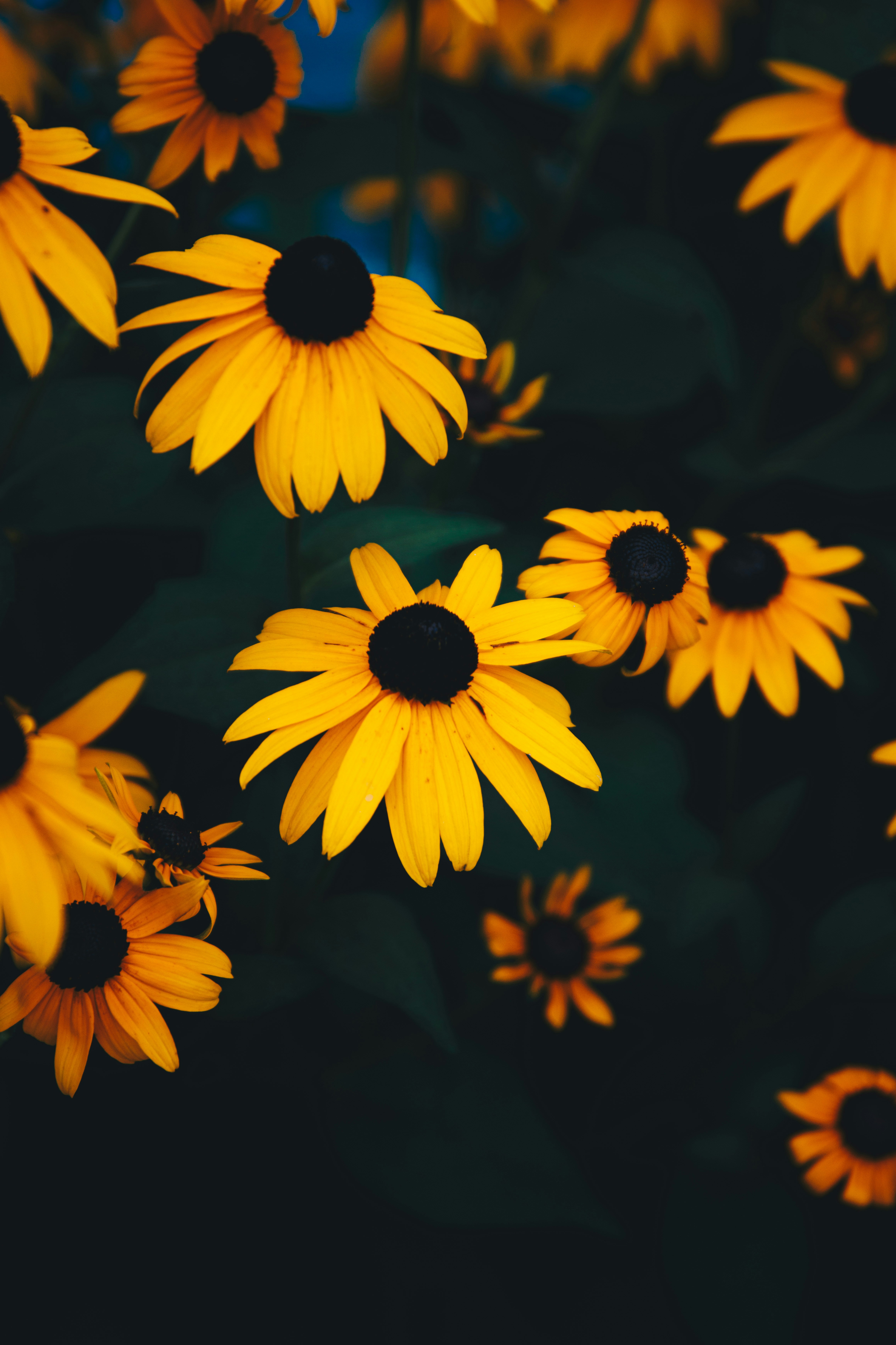 Photo by storywright