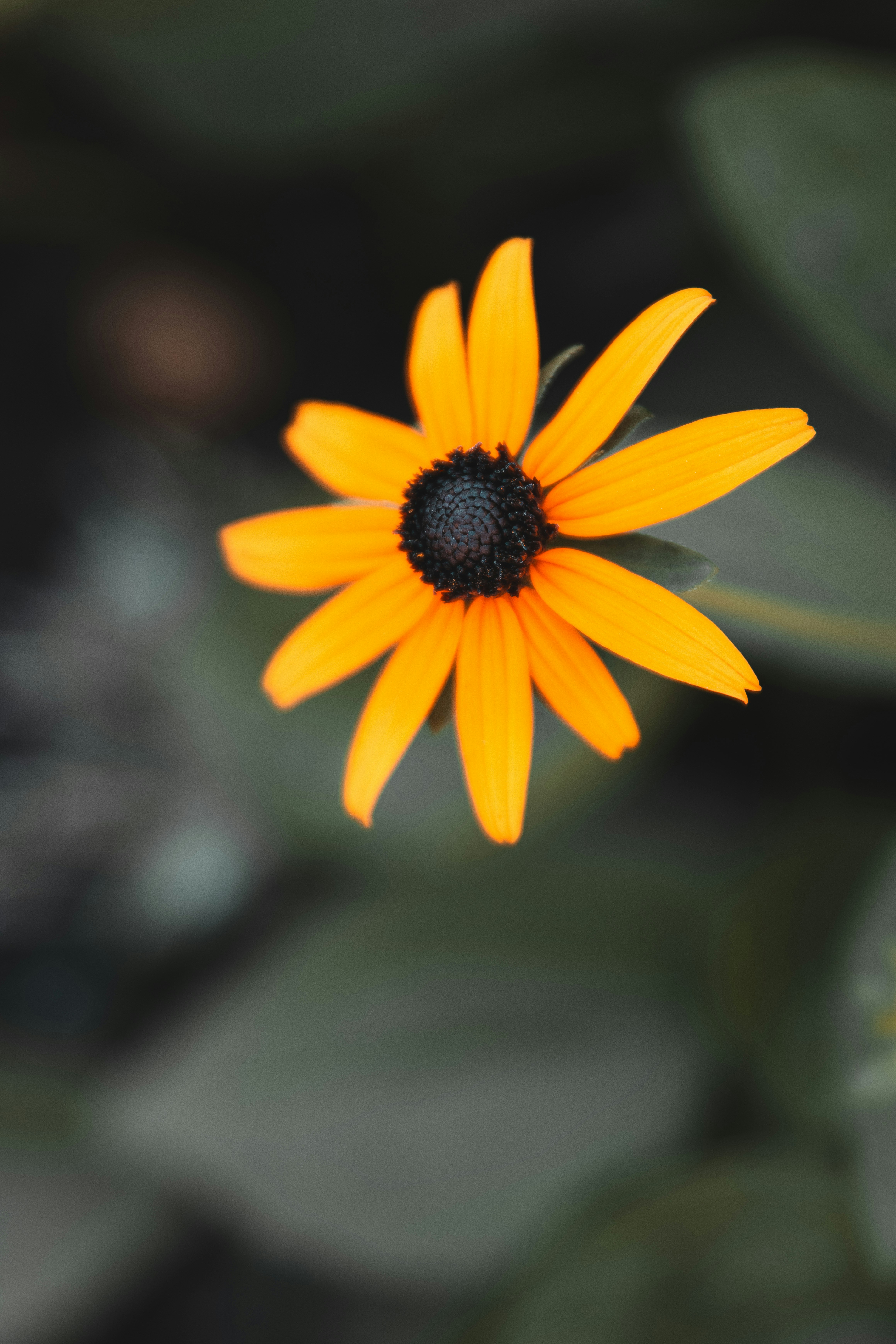 Photo by storywright