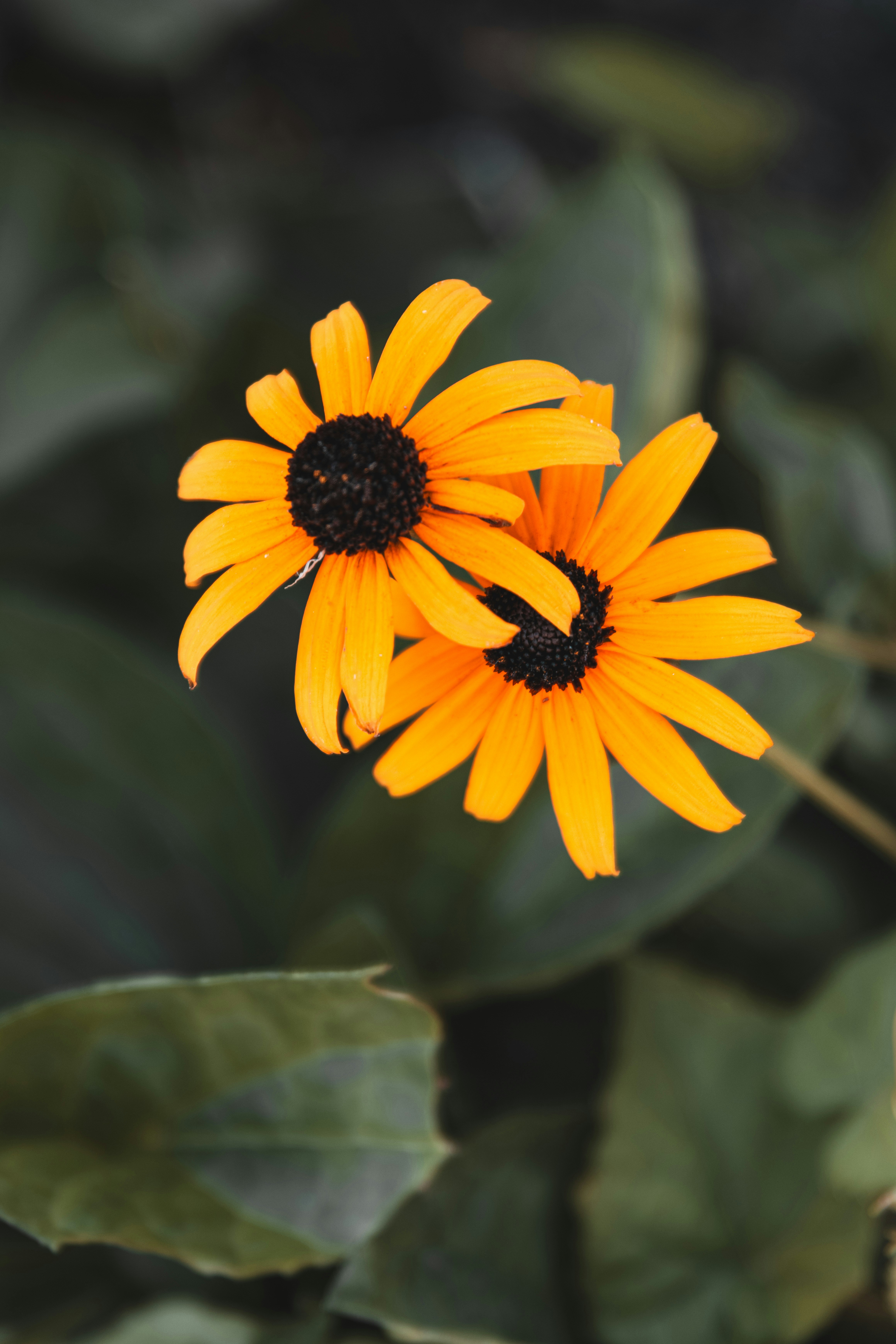 Photo by storywright