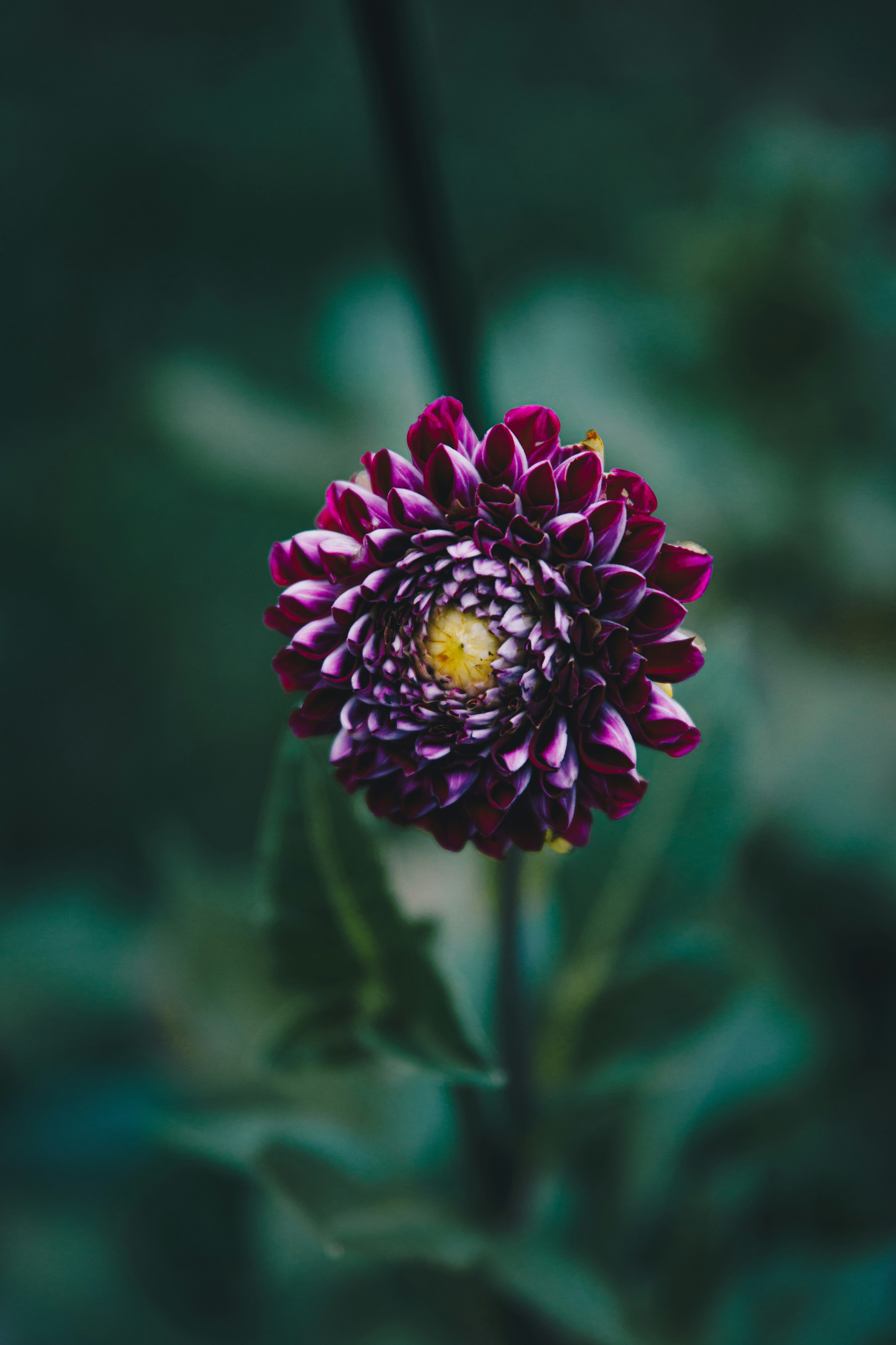 Photo by storywright