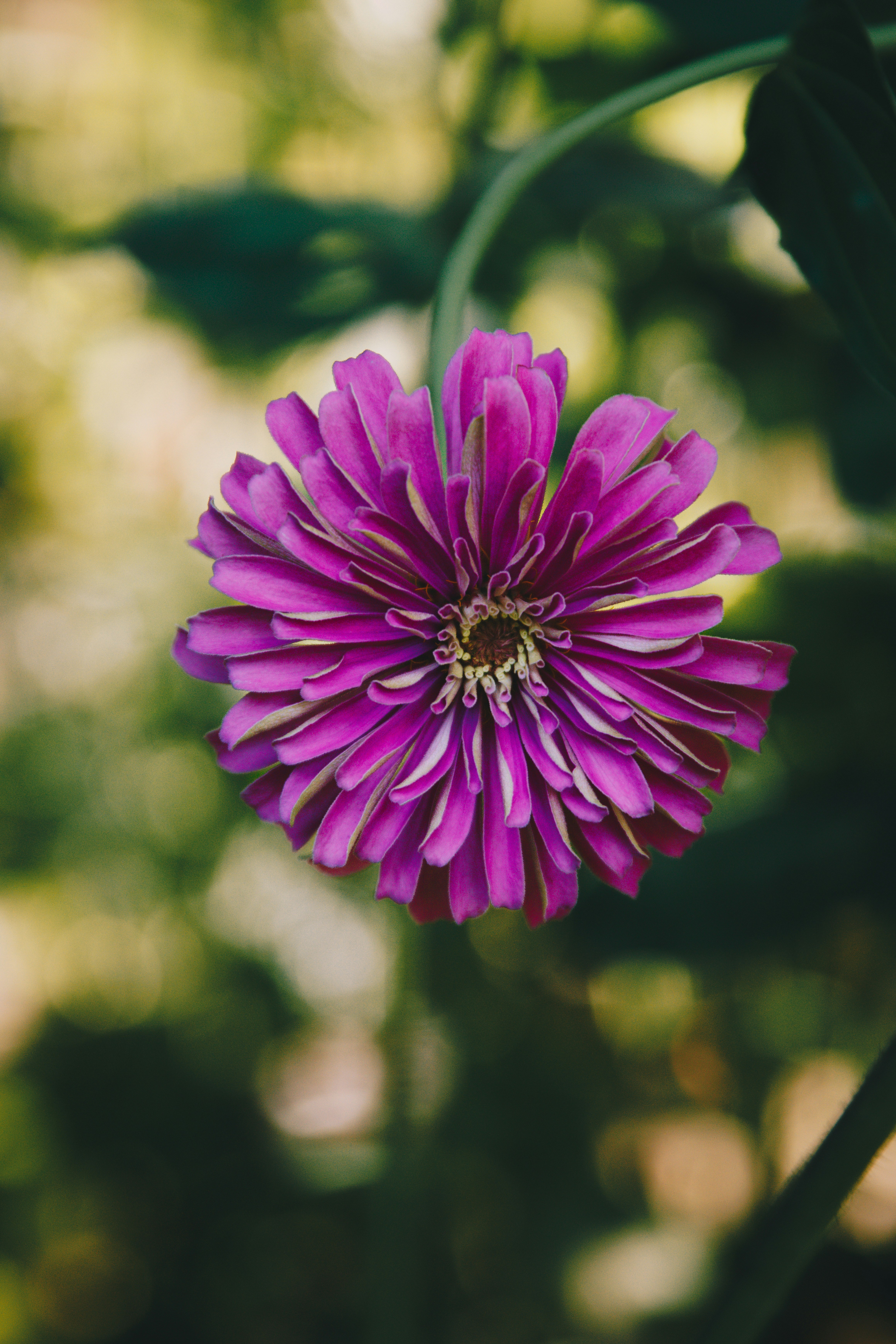 Photo by storywright