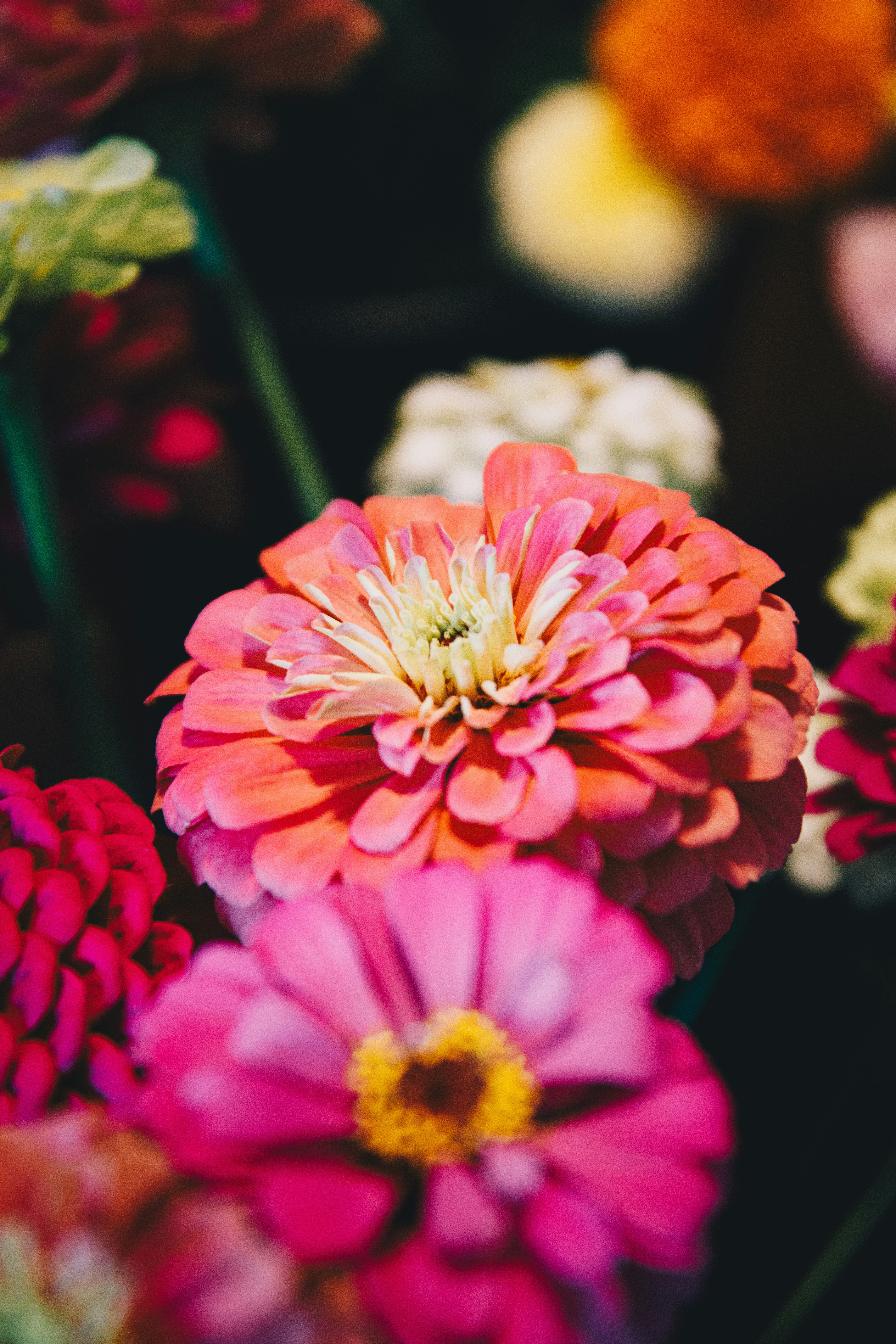 Photo by storywright