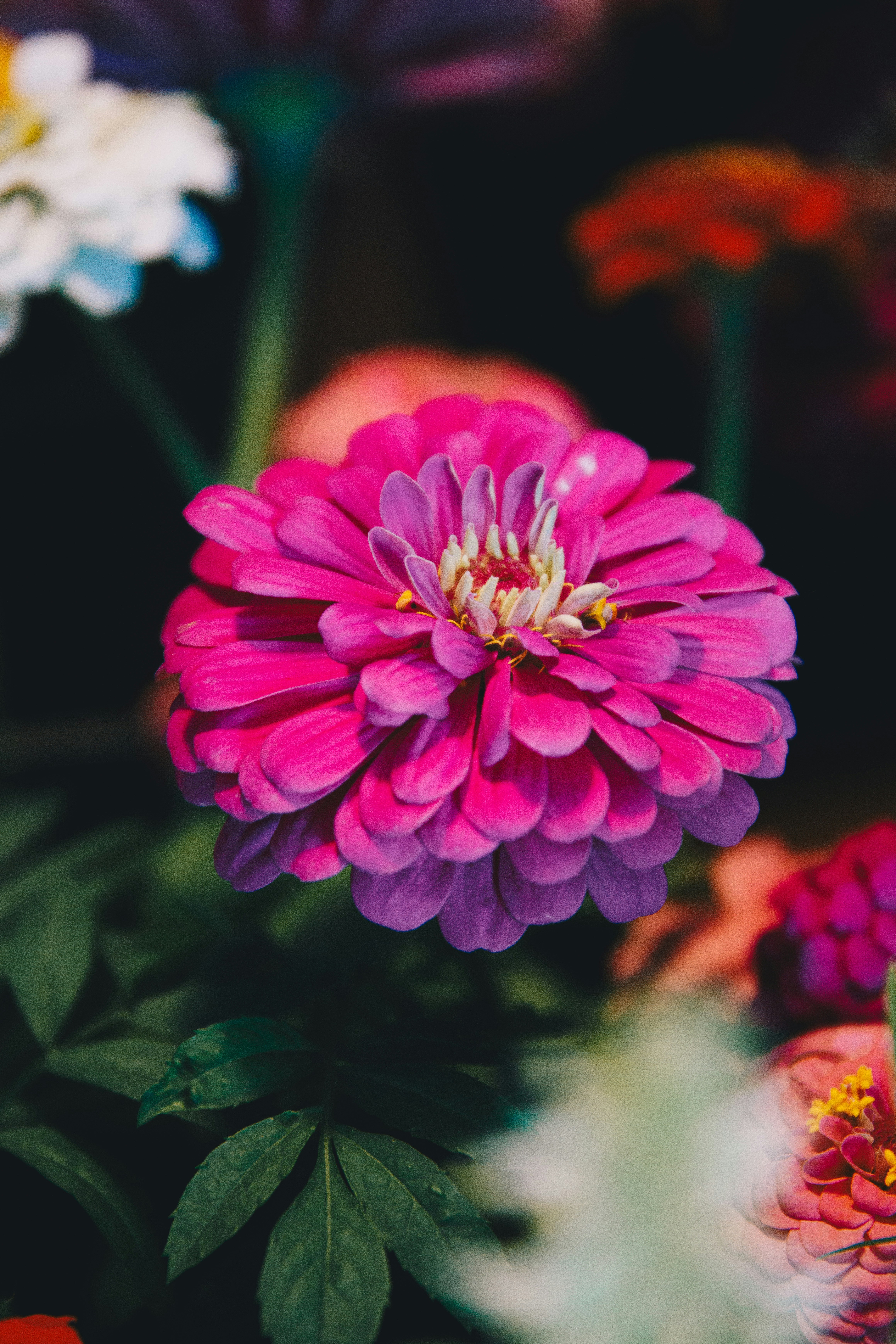 Photo by storywright