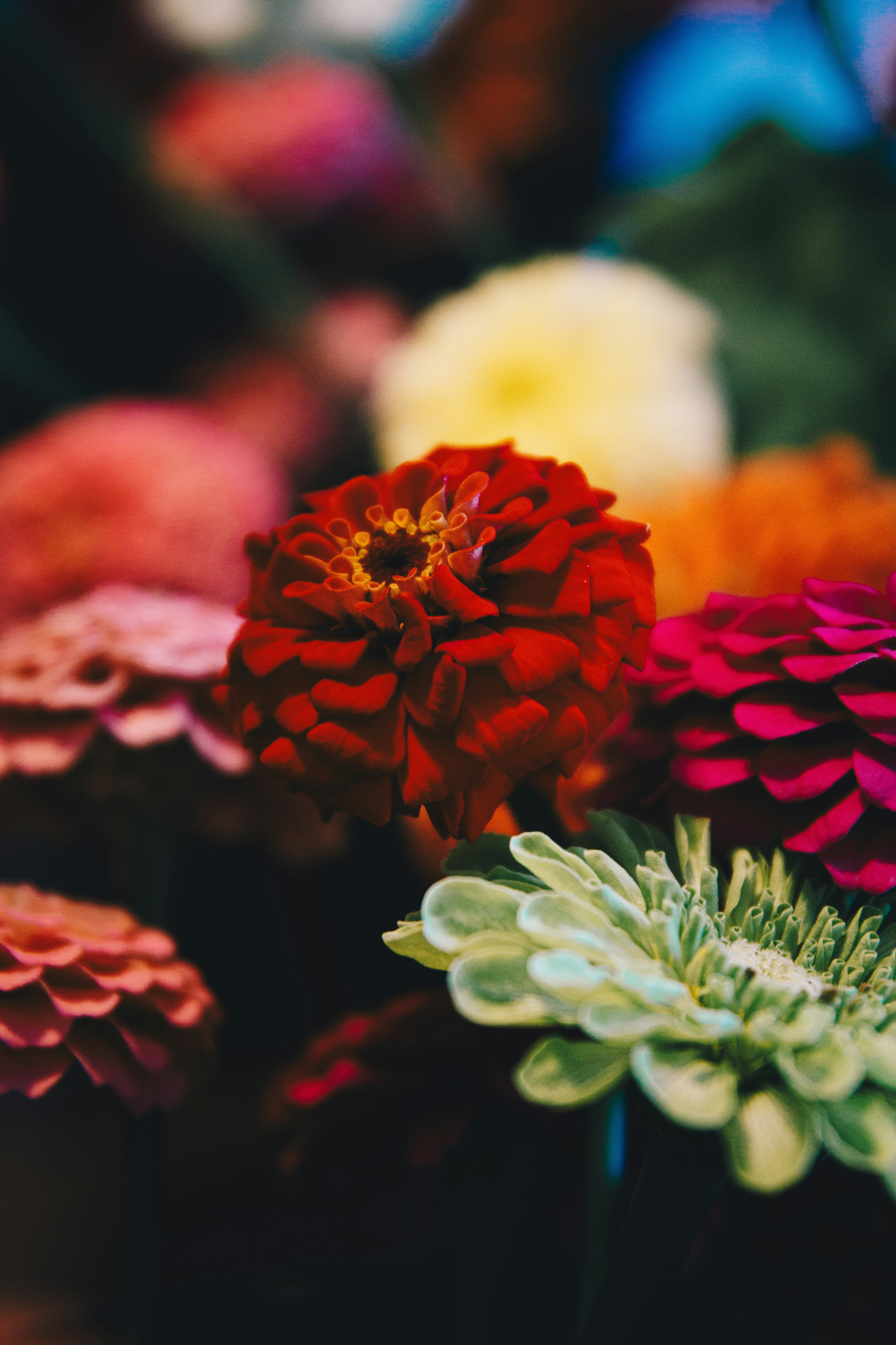 Photo by storywright