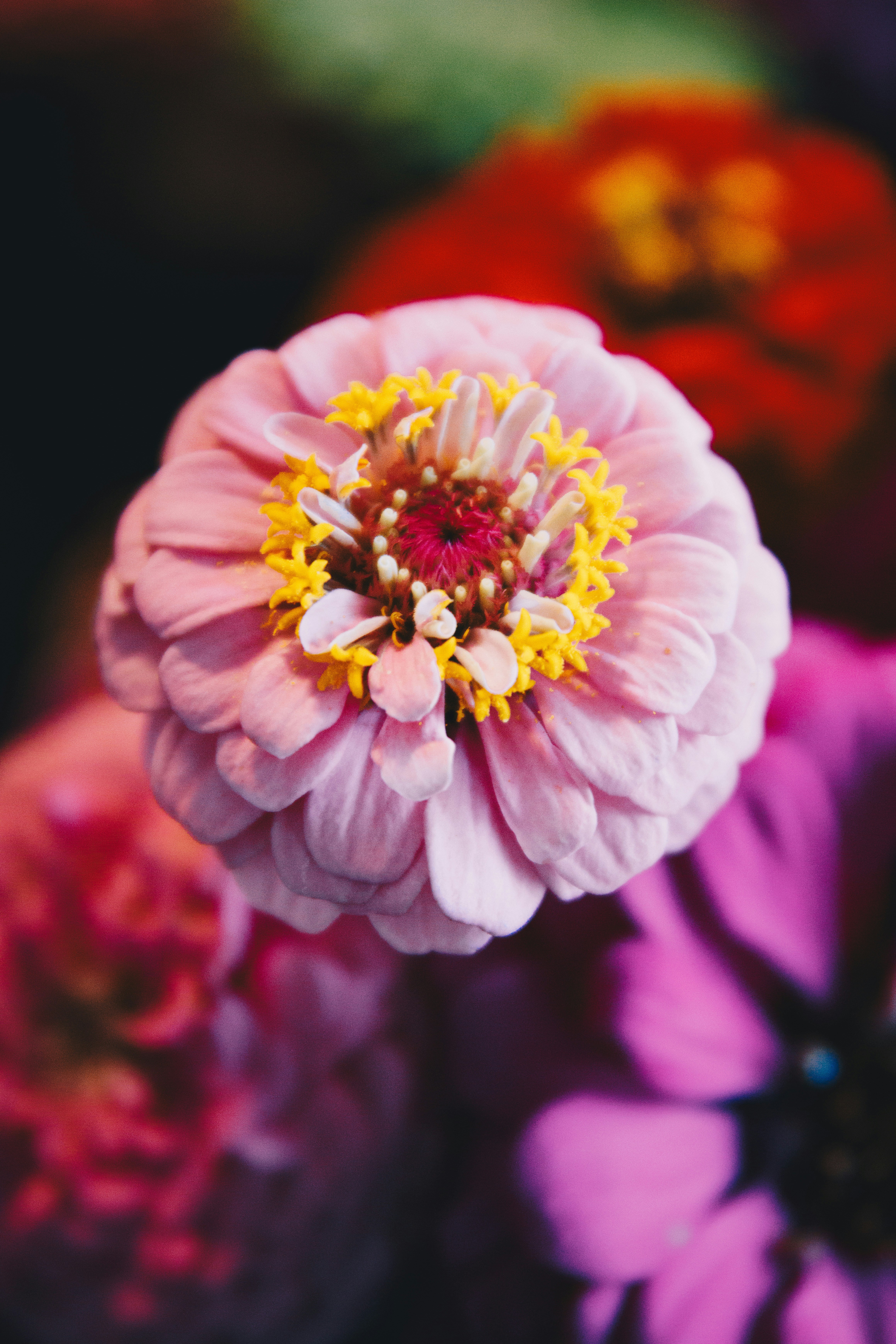 Photo by storywright