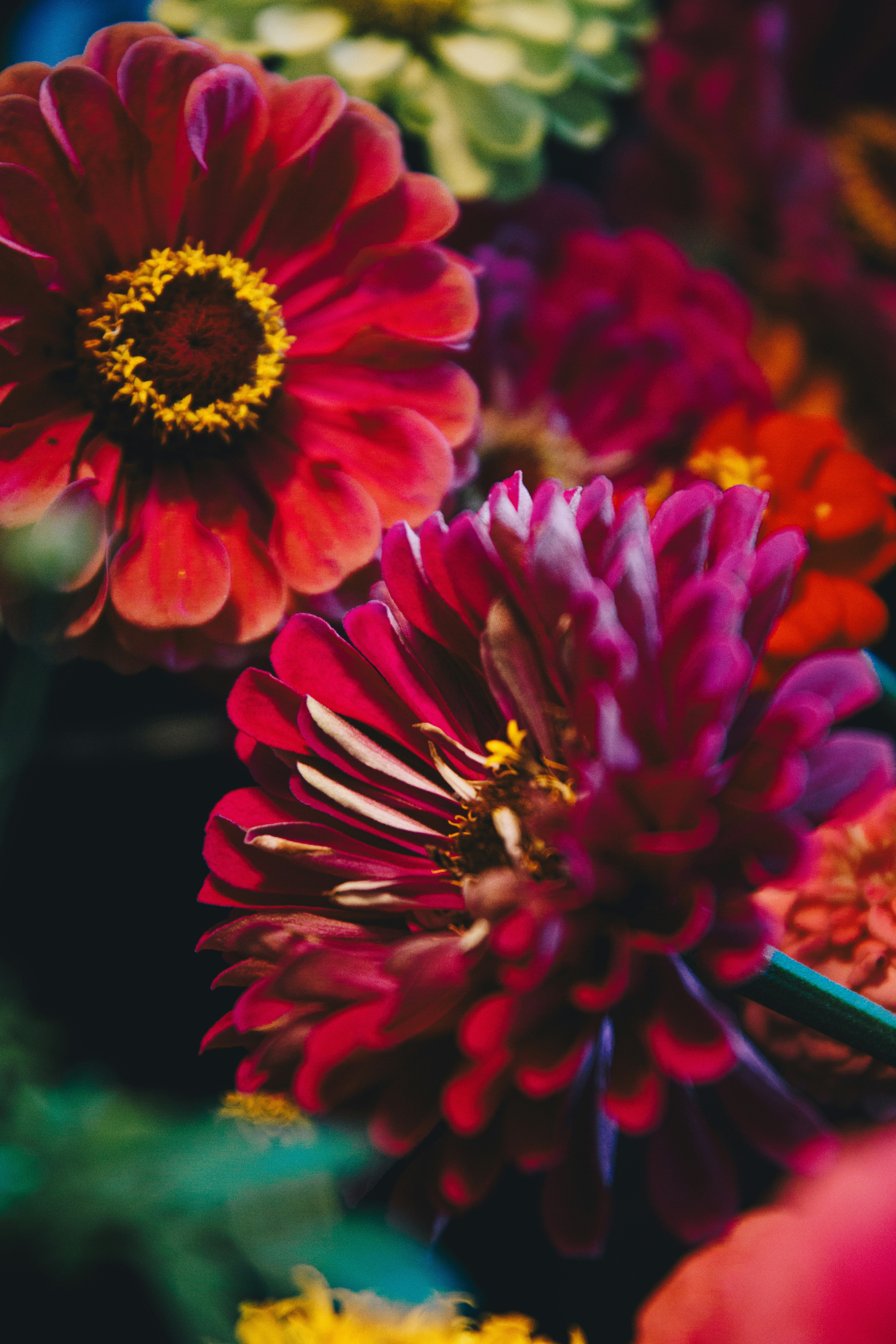 Photo by storywright