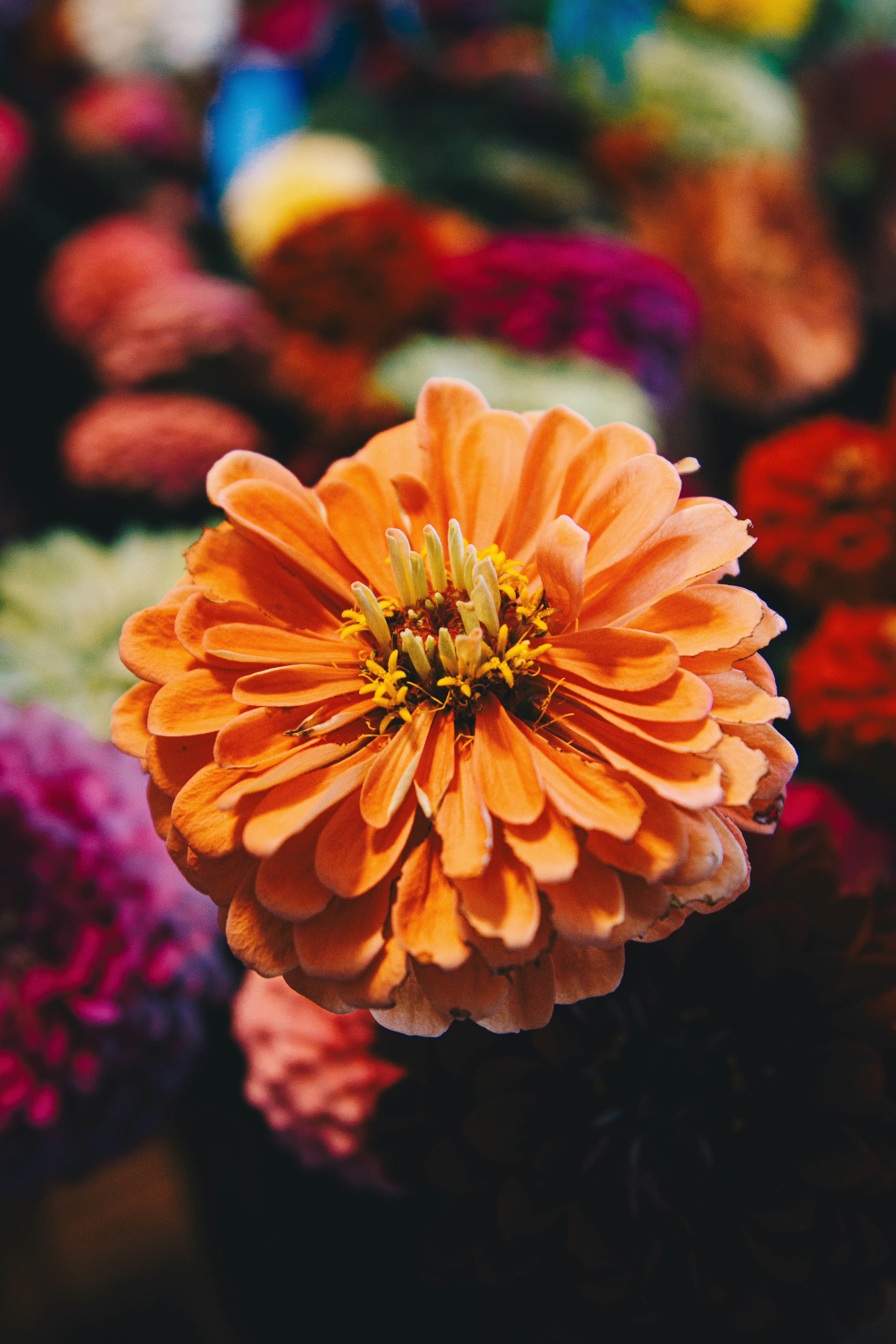 Photo by storywright