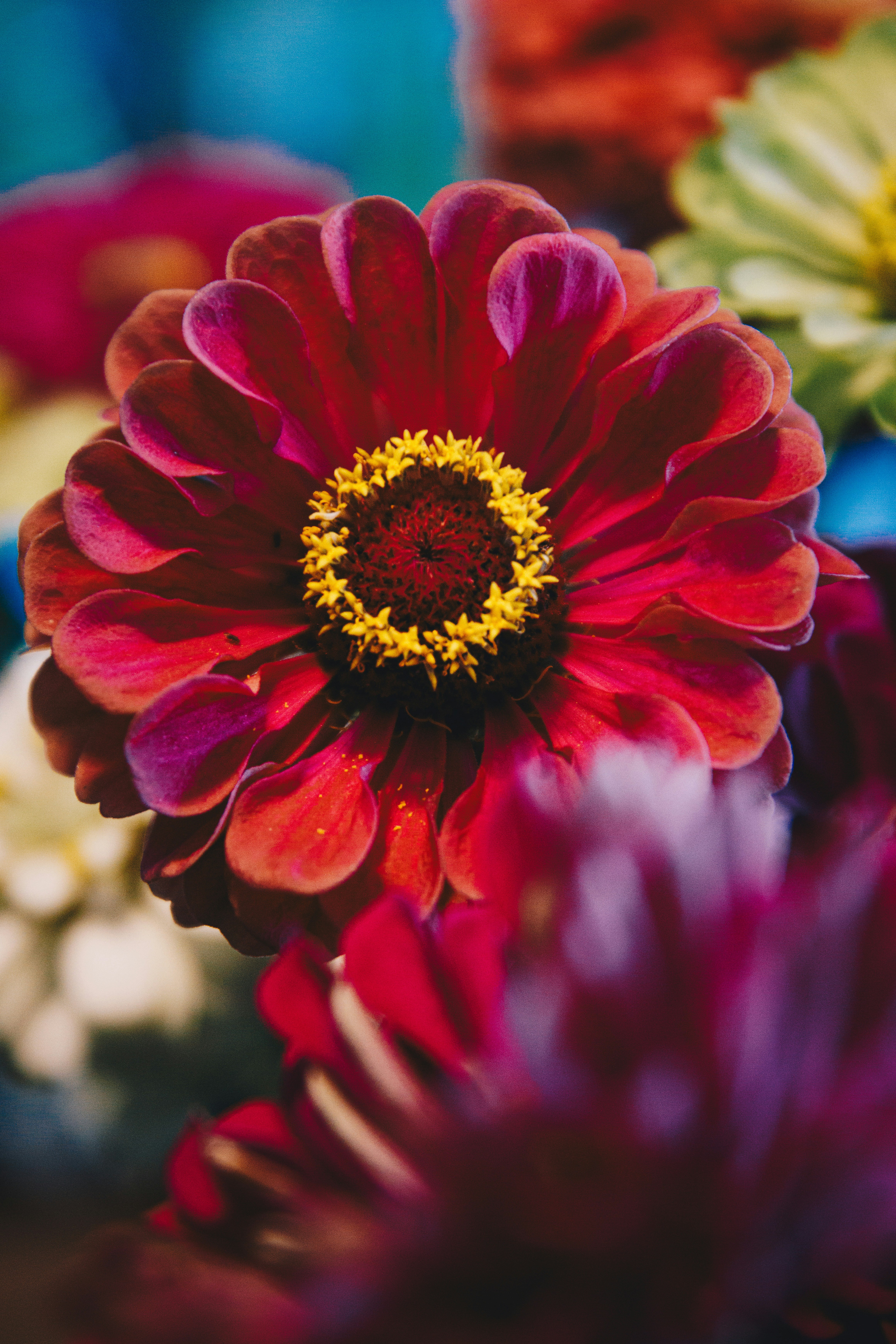 Photo by storywright