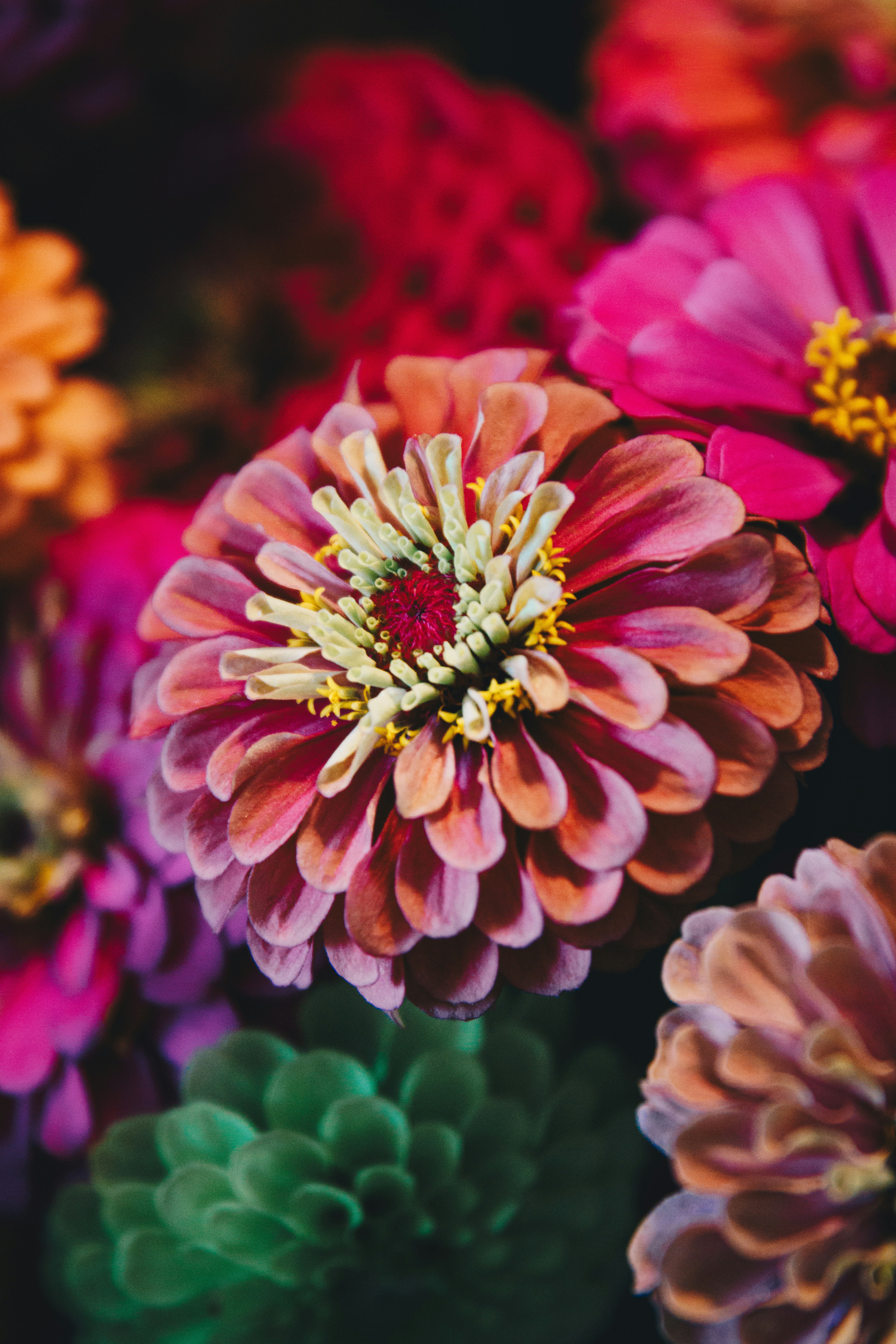 Photo by storywright