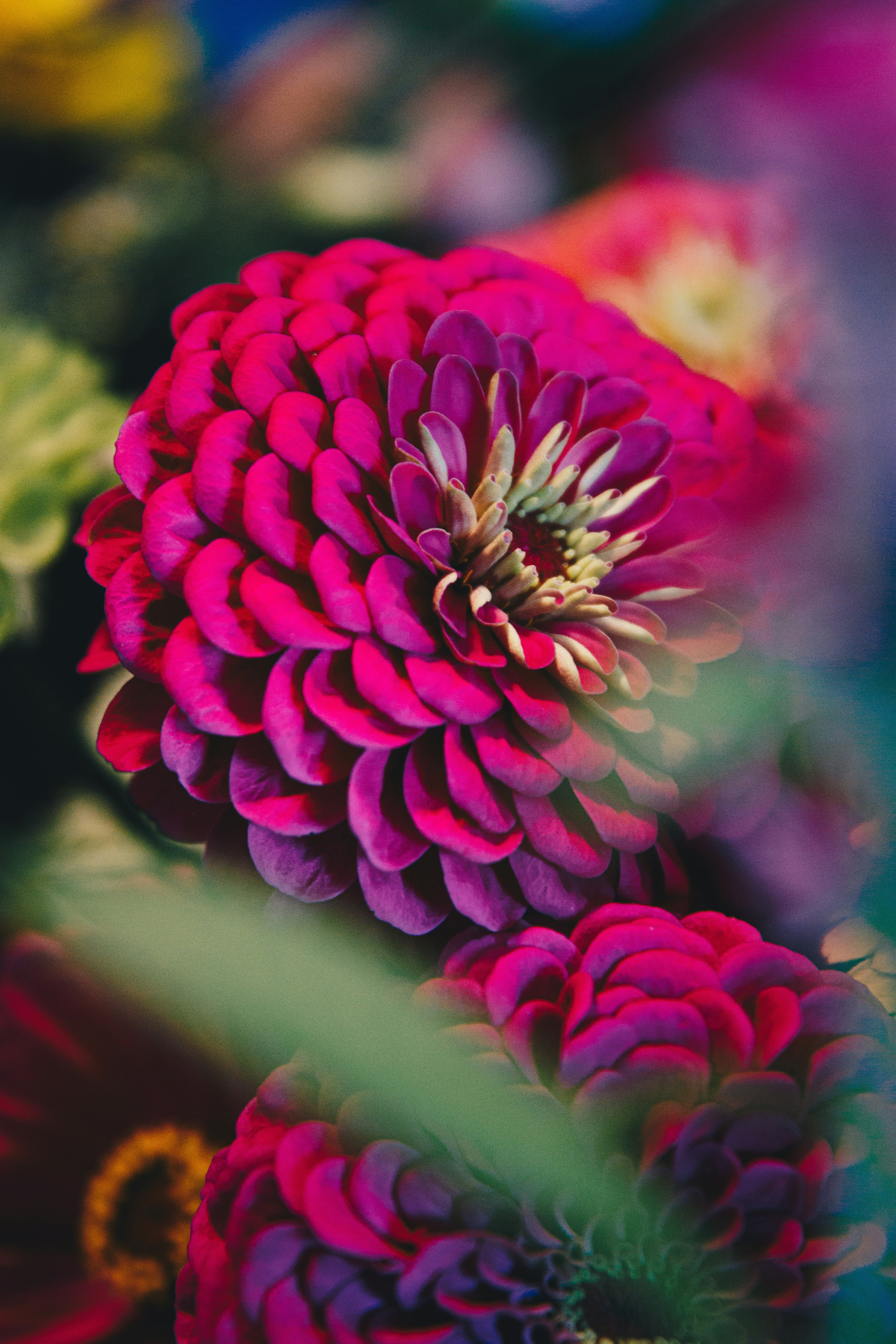 Photo by storywright