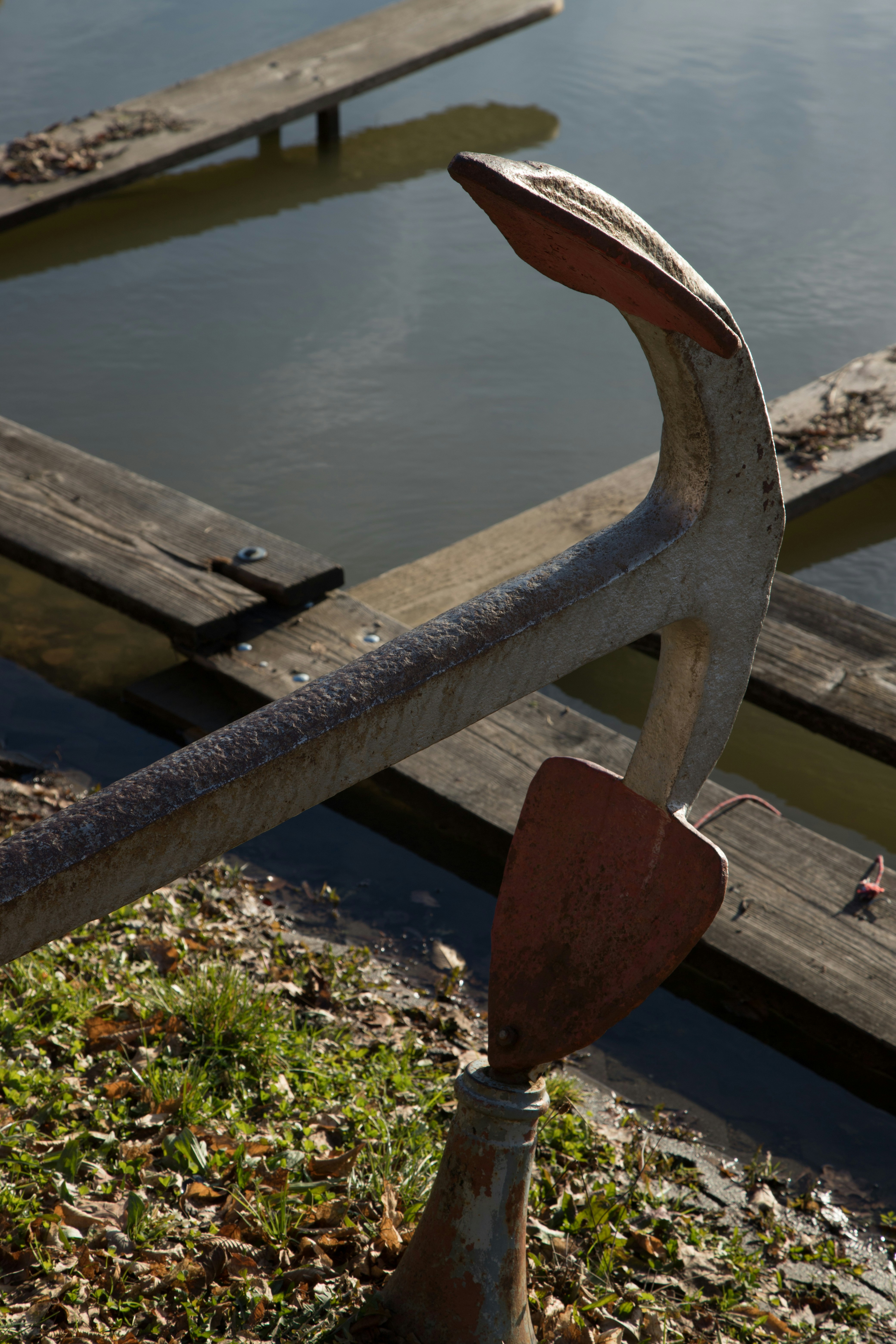 Photo by alexandristom