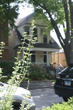 A residential street scene featuring a two-story house with large windows, surrounded by lush trees and greenery. Two parked cars are visible in the foreground, partially obscured by tall plants. The house has a front porch, and there are various plants and flowers in the garden area.