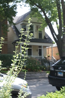 A residential street scene featuring a two-story house with large windows, surrounded by lush trees and greenery. Two parked cars are visible in the foreground, partially obscured by tall plants. The house has a front porch, and there are various plants and flowers in the garden area.
