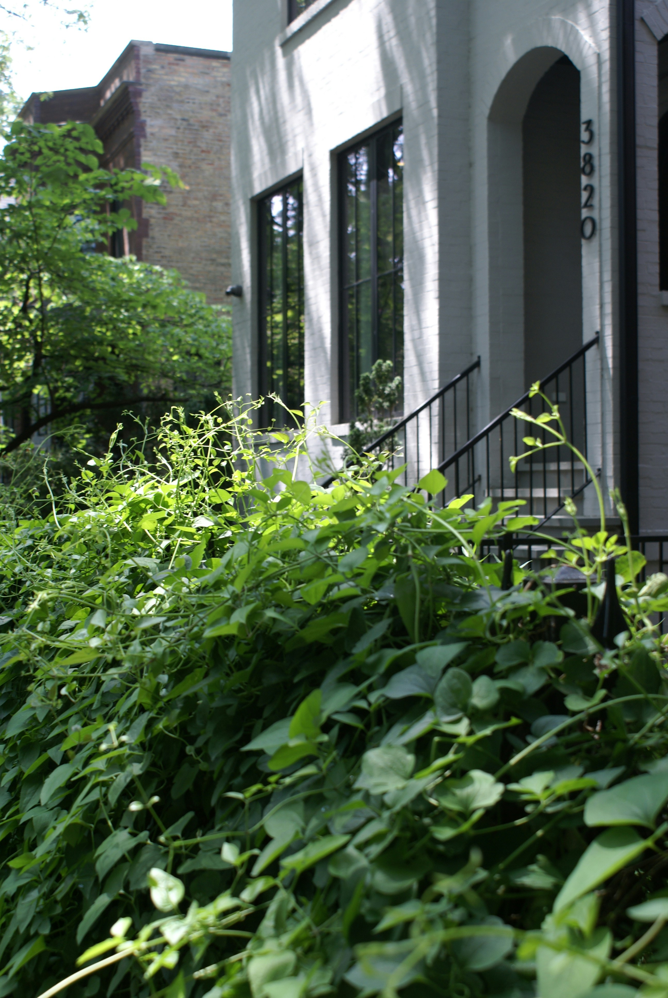 Photo by apaturairis