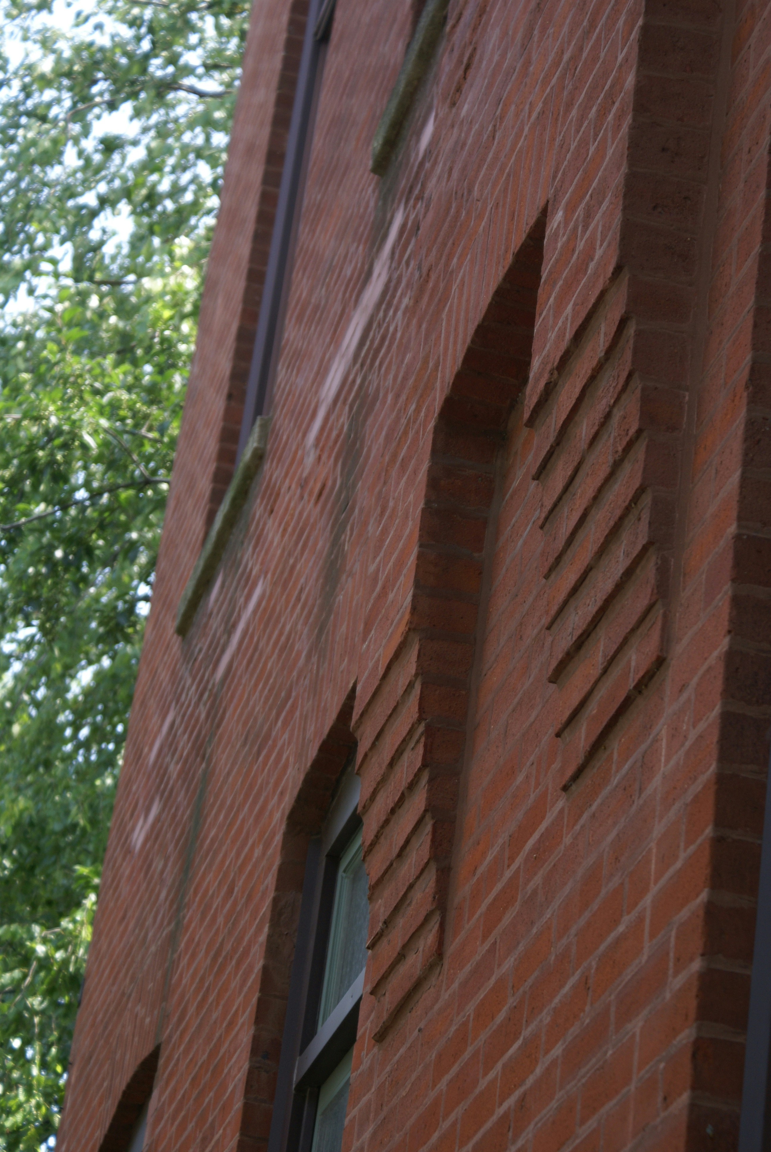 Photo by apaturairis